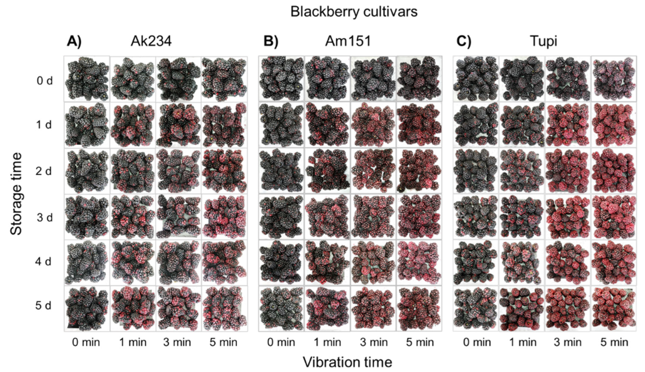 Horticulturae 08 00631 g003 550