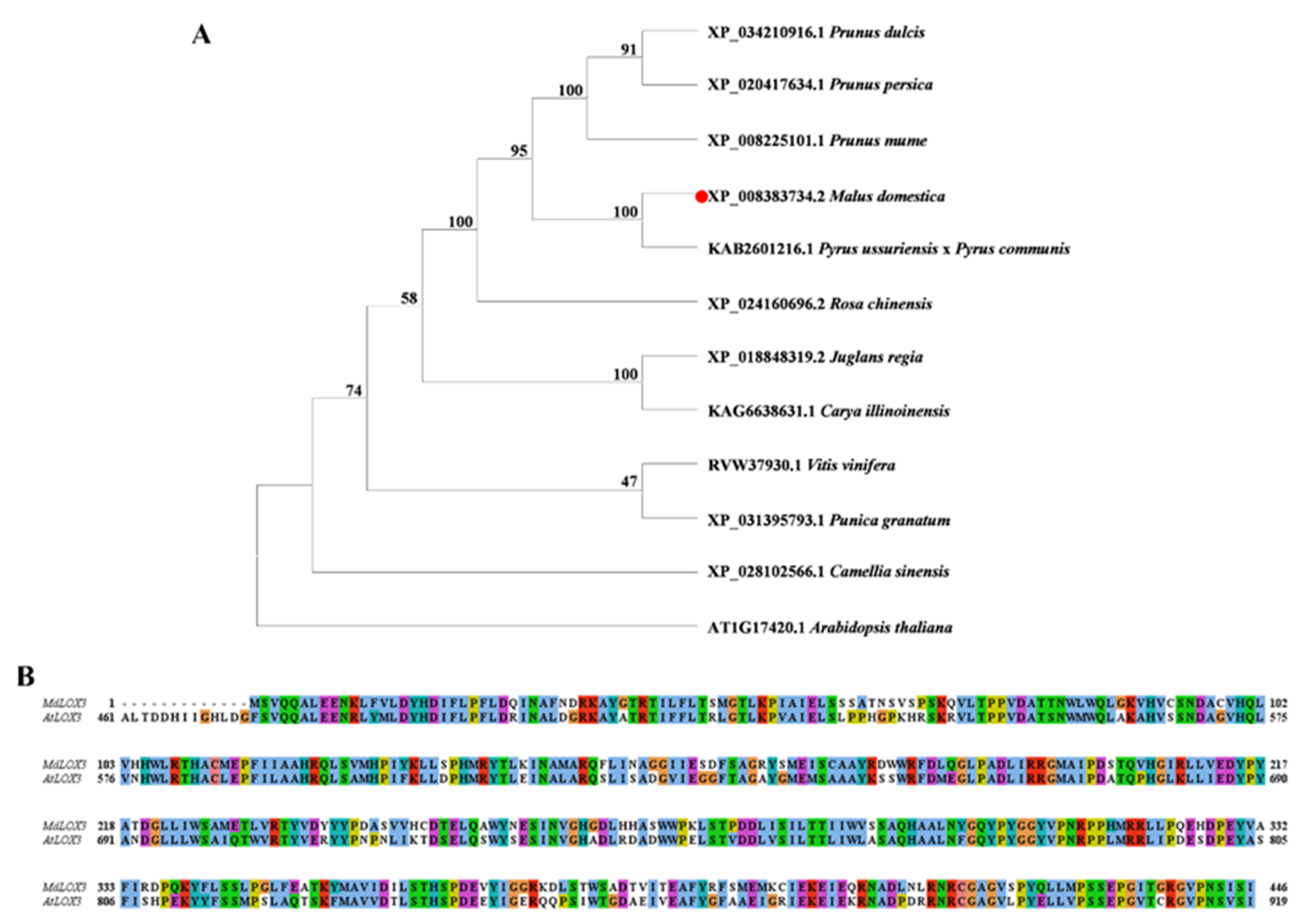 Horticulturae 08 00651 g002 Horticulturae 08 00651 g002