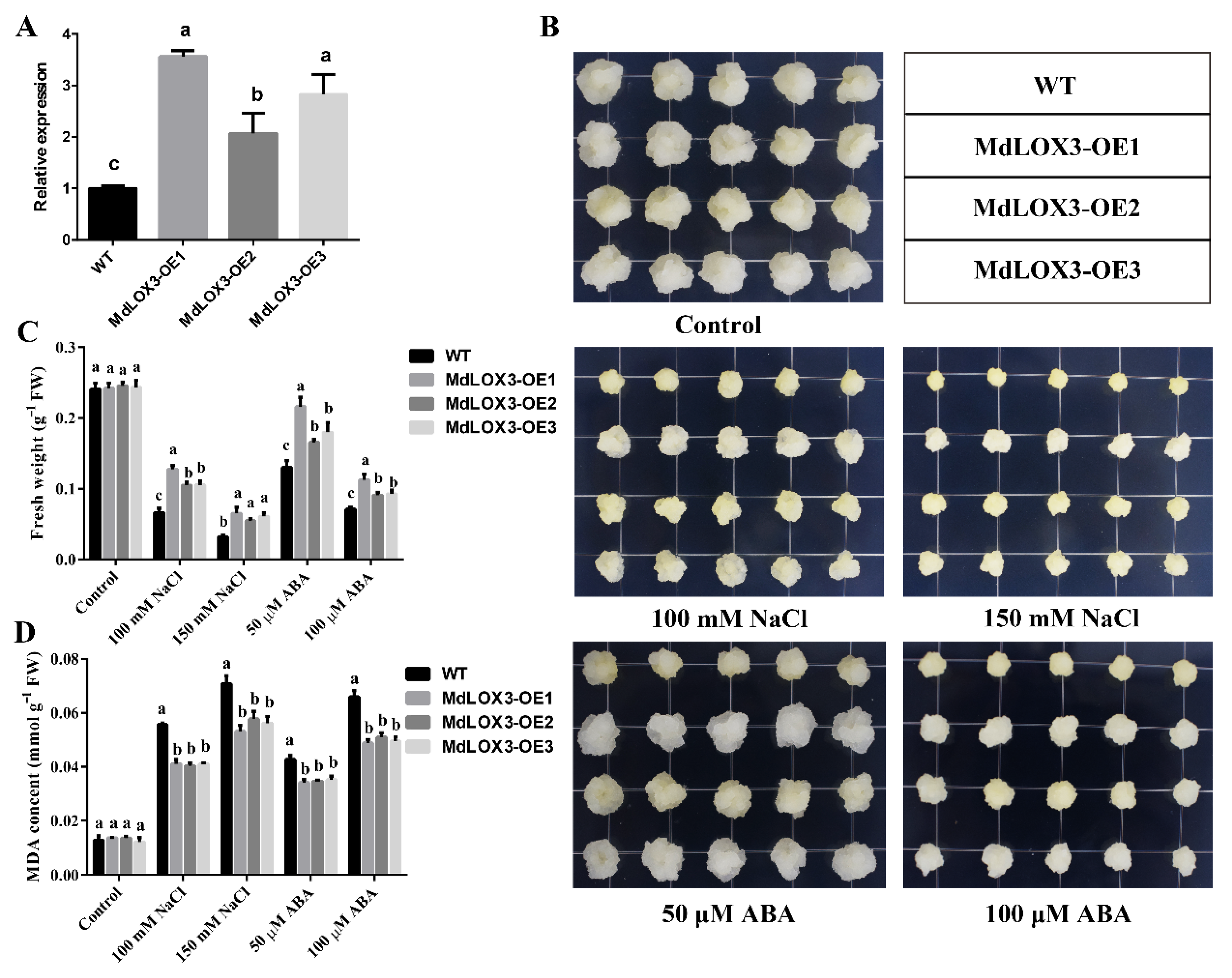 Horticulturae 08 00651 g004 Horticulturae 08 00651 g004