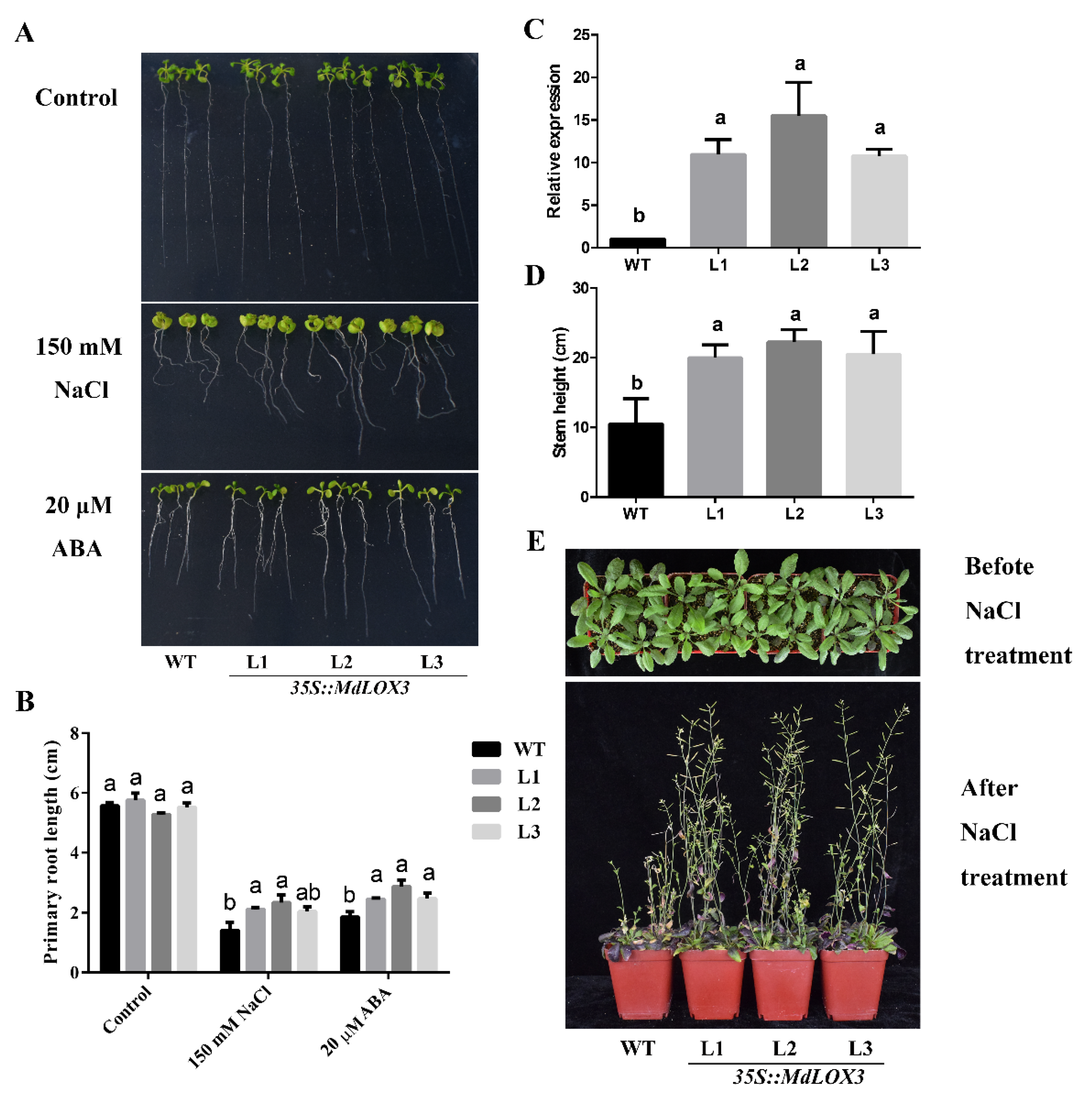 Horticulturae 08 00651 g005 Horticulturae 08 00651 g005
