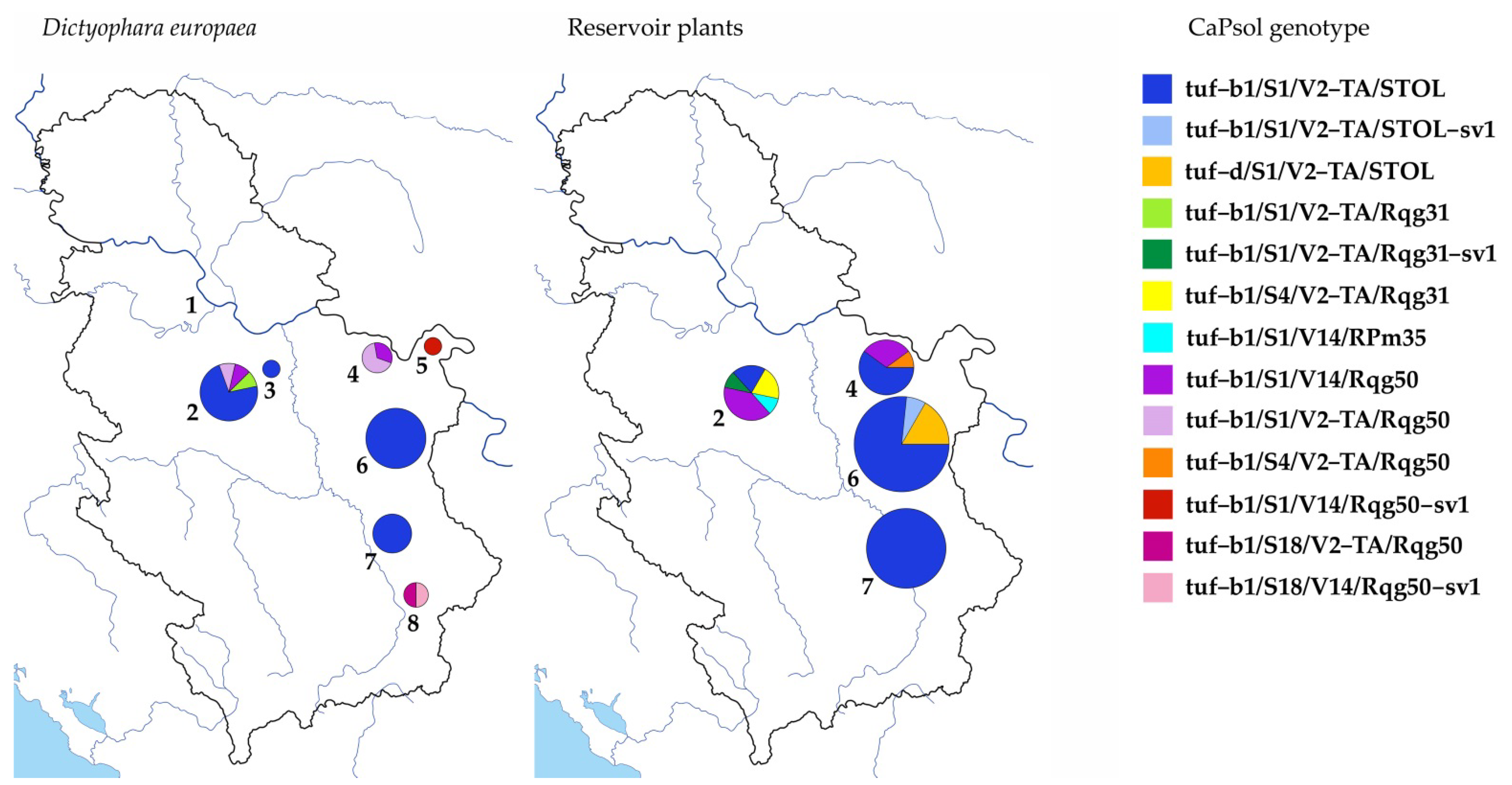 Horticulturae 08 00654 g001 550
