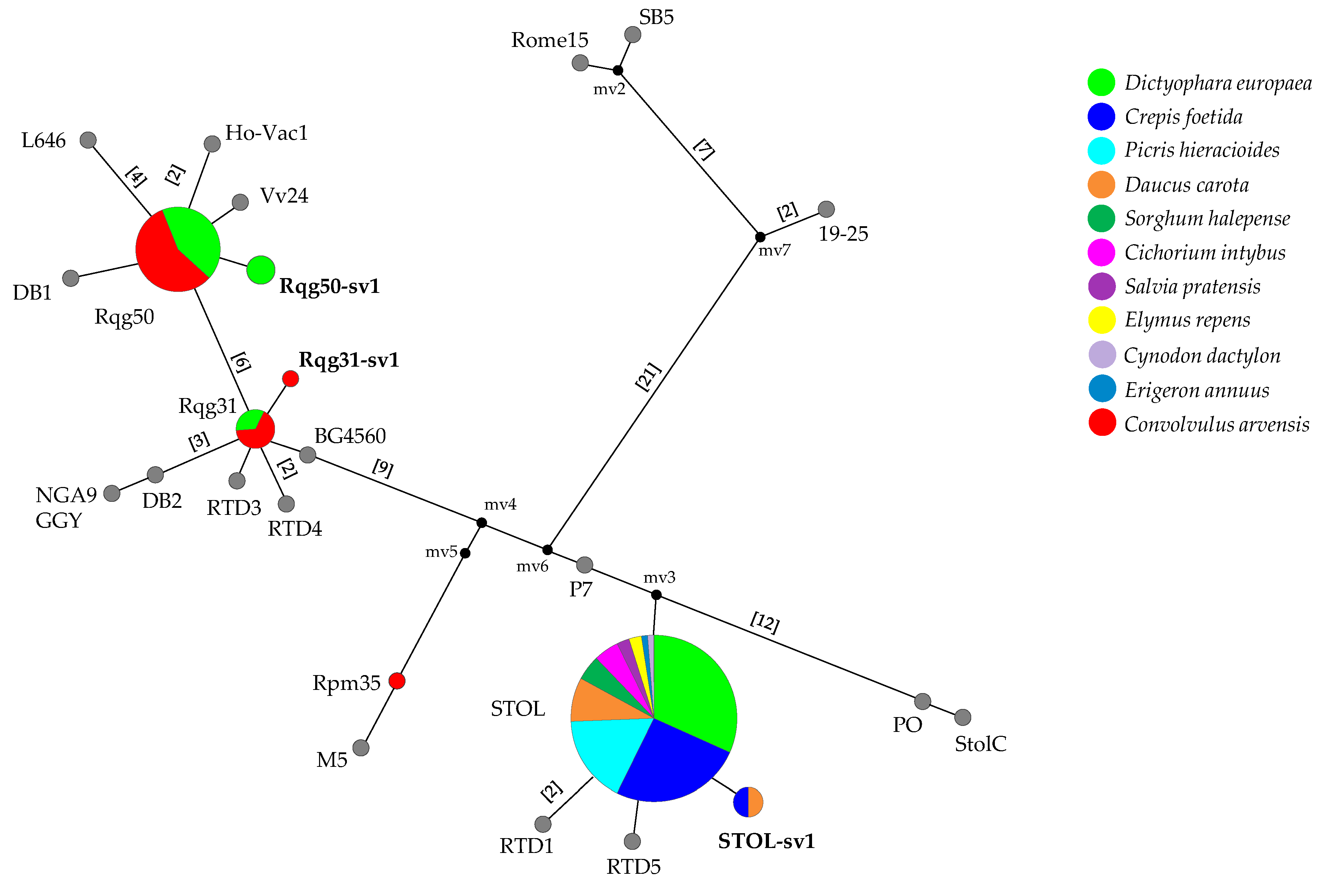 Horticulturae 08 00654 g002 550
