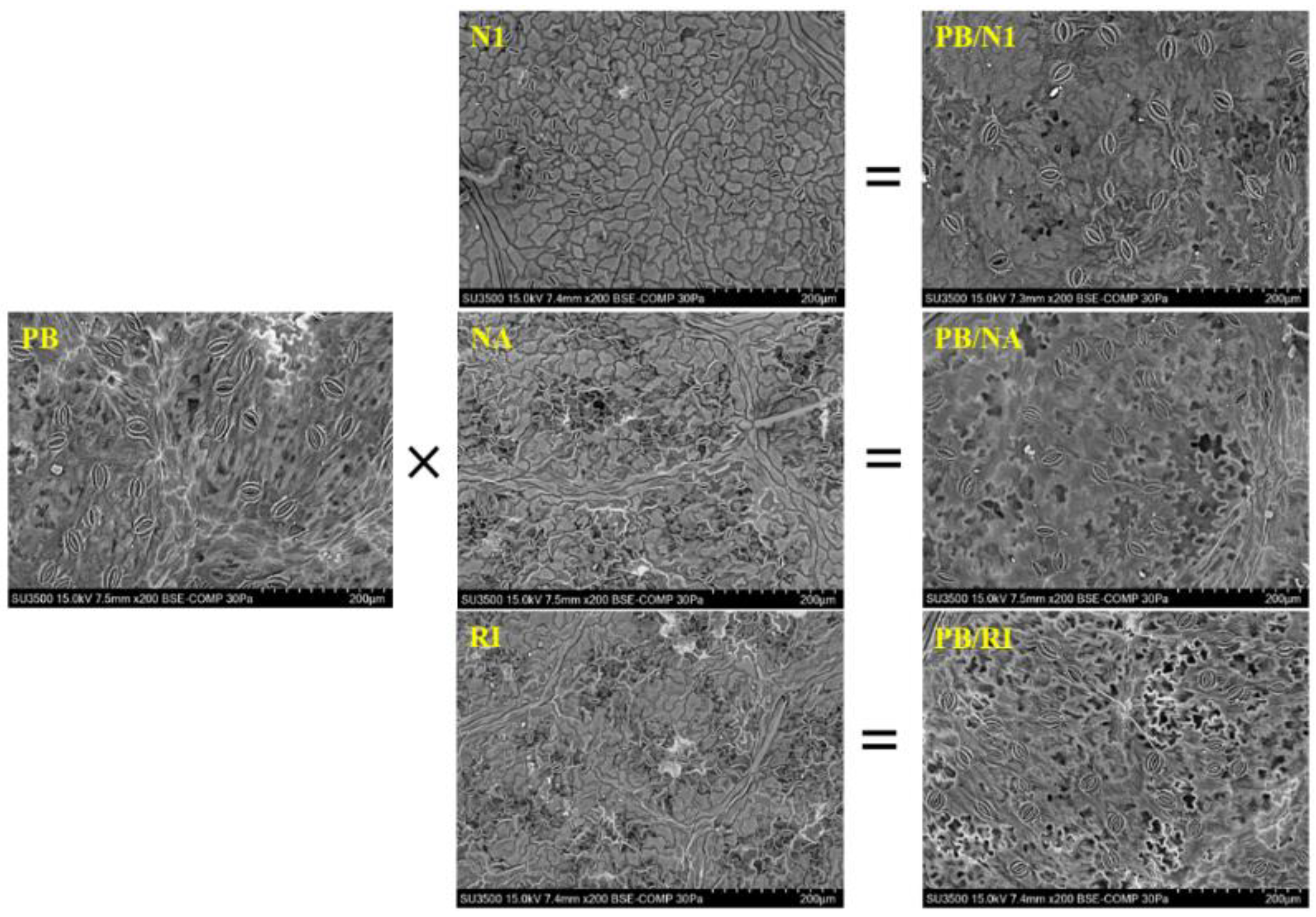 Horticulturae 08 00655 g005