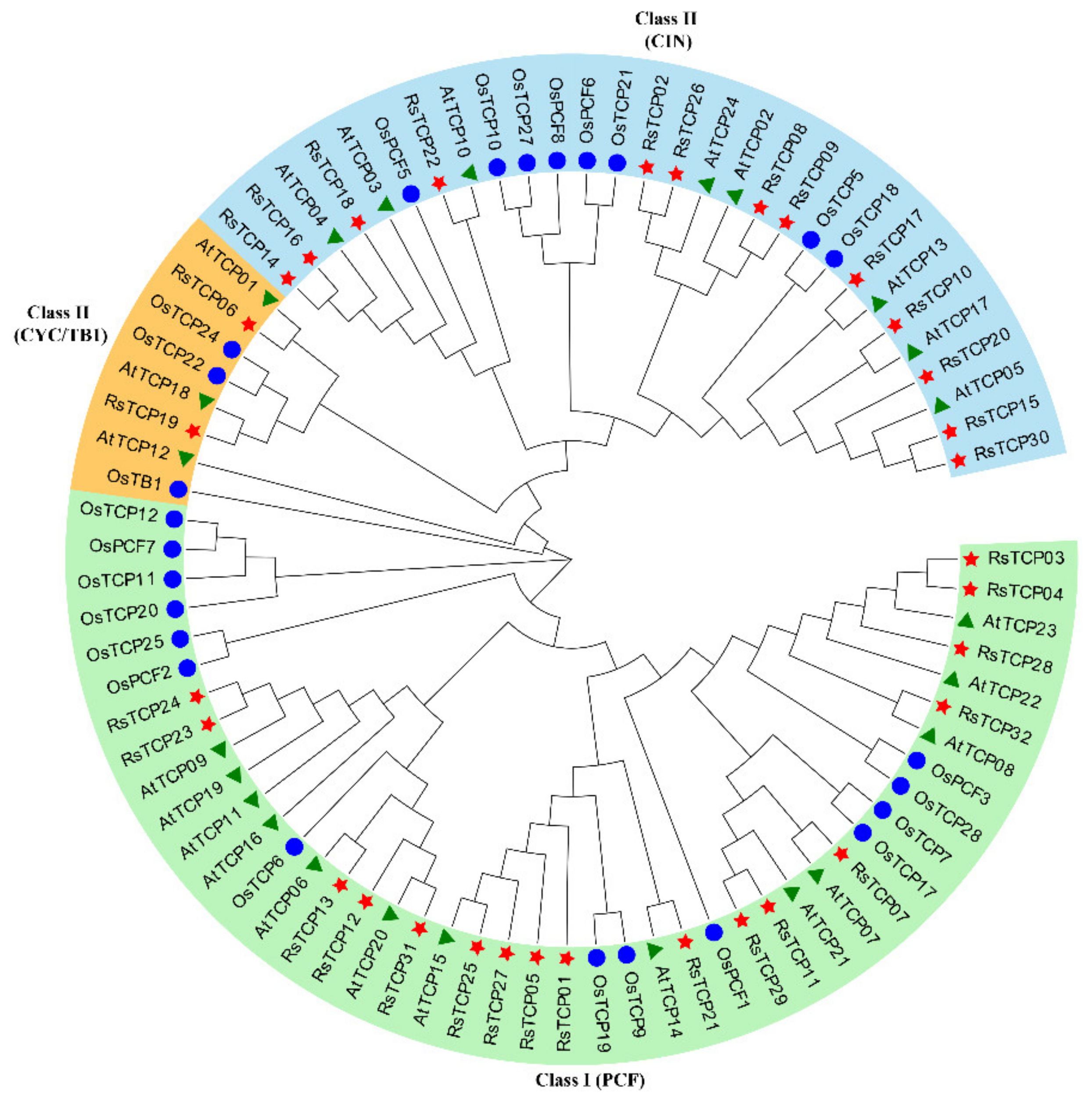 Horticulturae 08 00656 g001