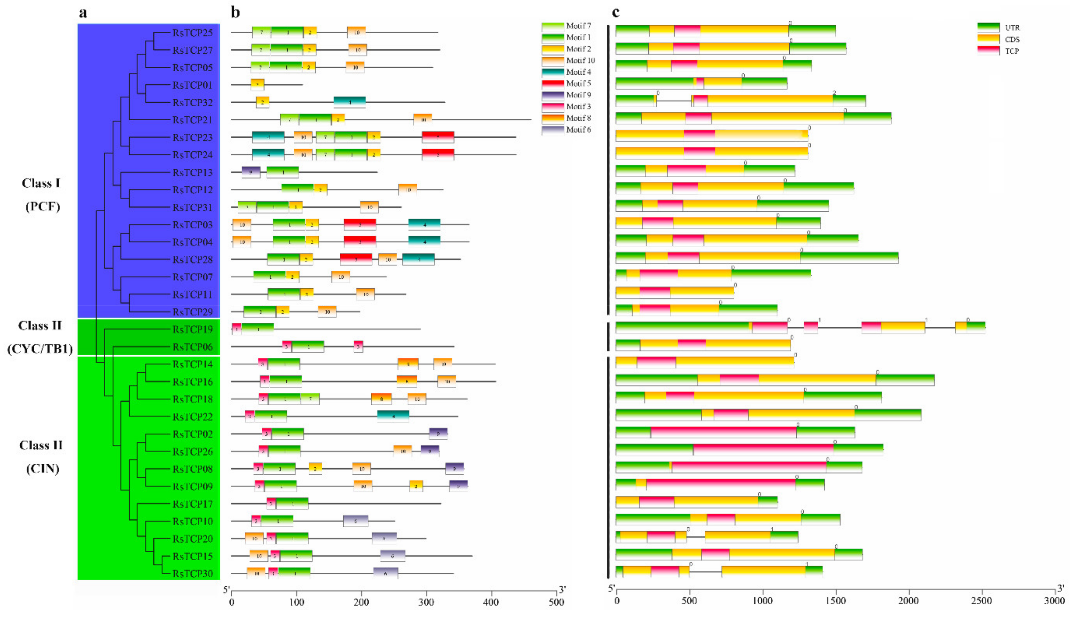 Horticulturae 08 00656 g002