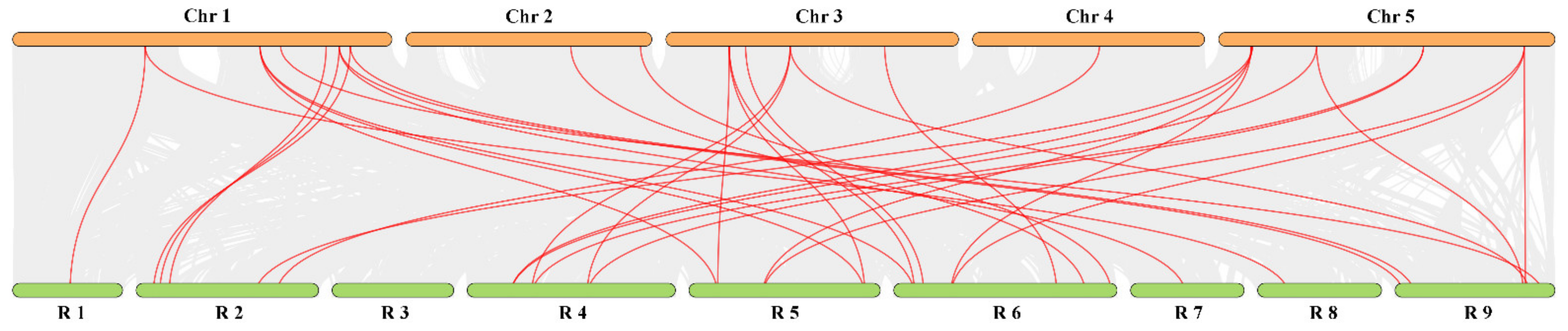 Horticulturae 08 00656 g005