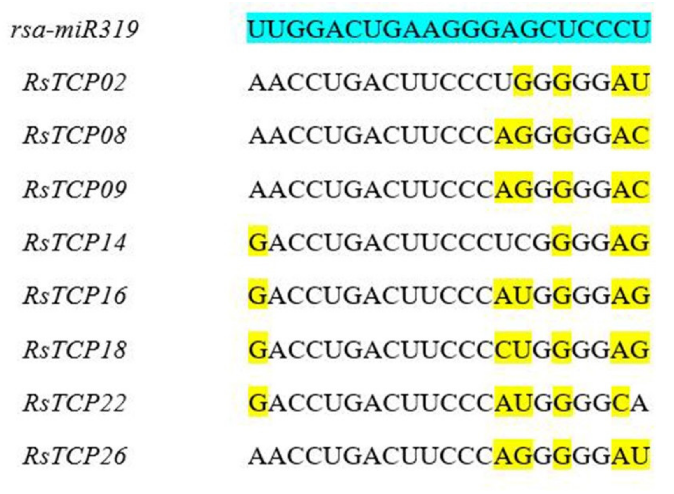 Horticulturae 08 00656 g006