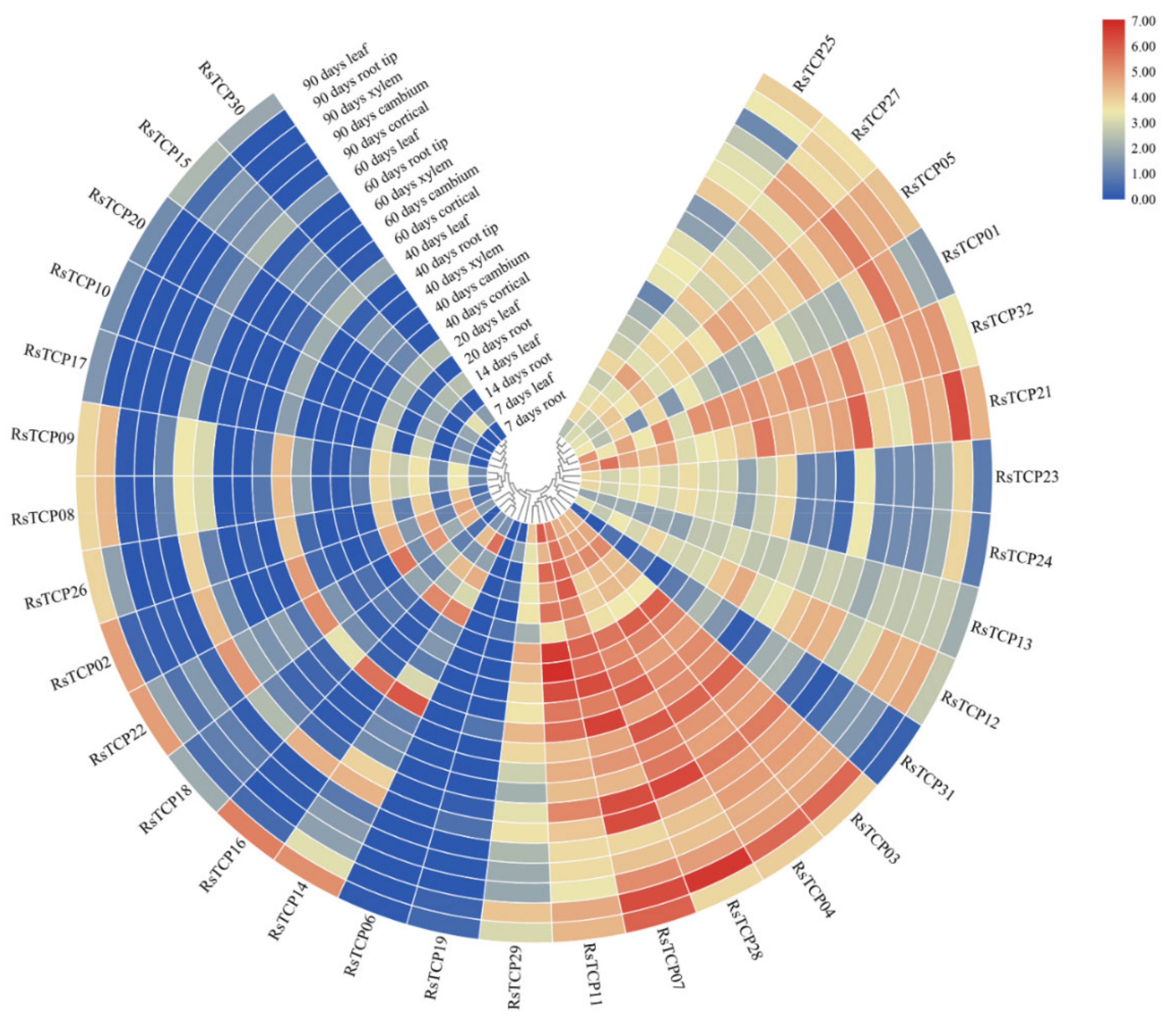 Horticulturae 08 00656 g007