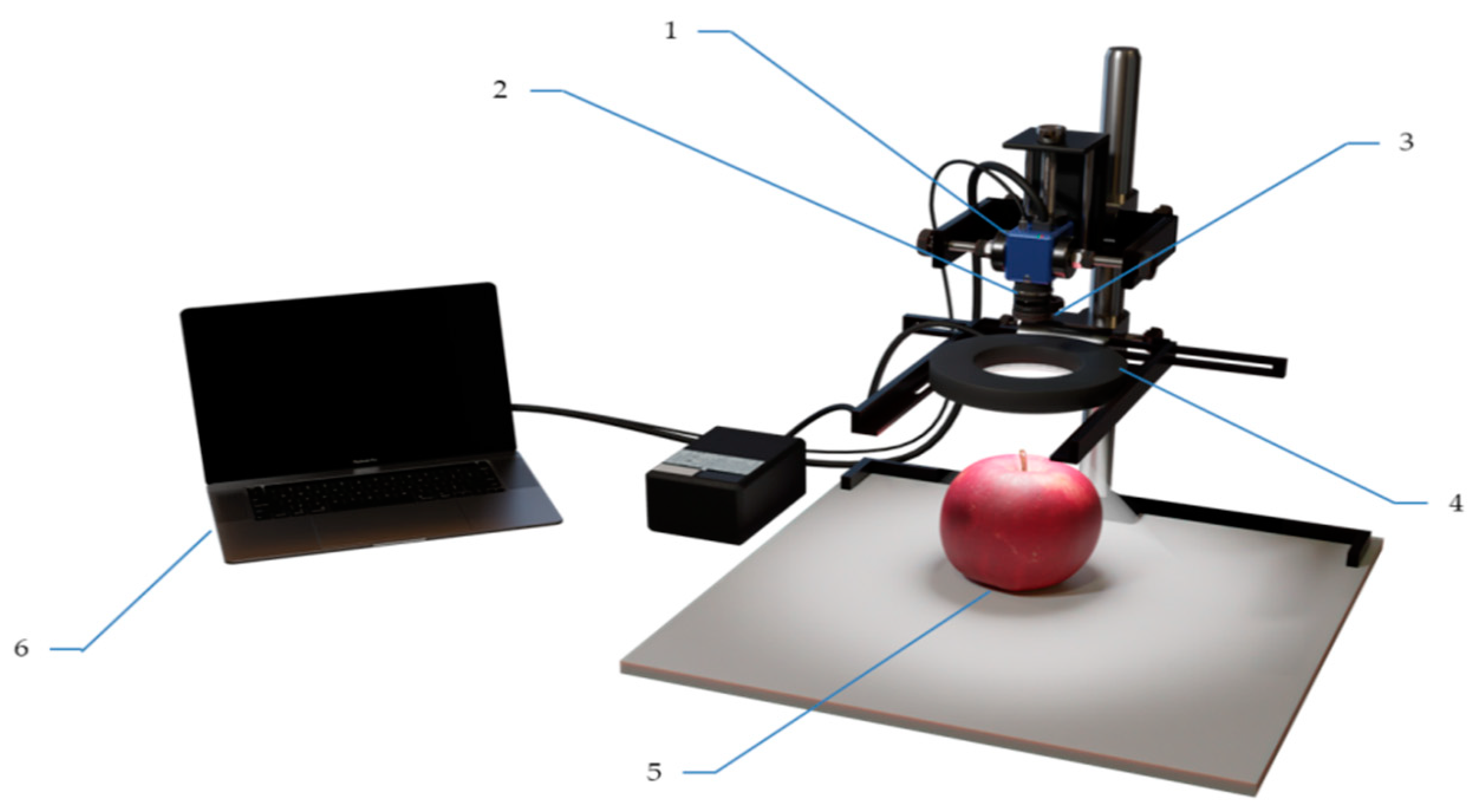Horticulturae 08 00666 g001 550