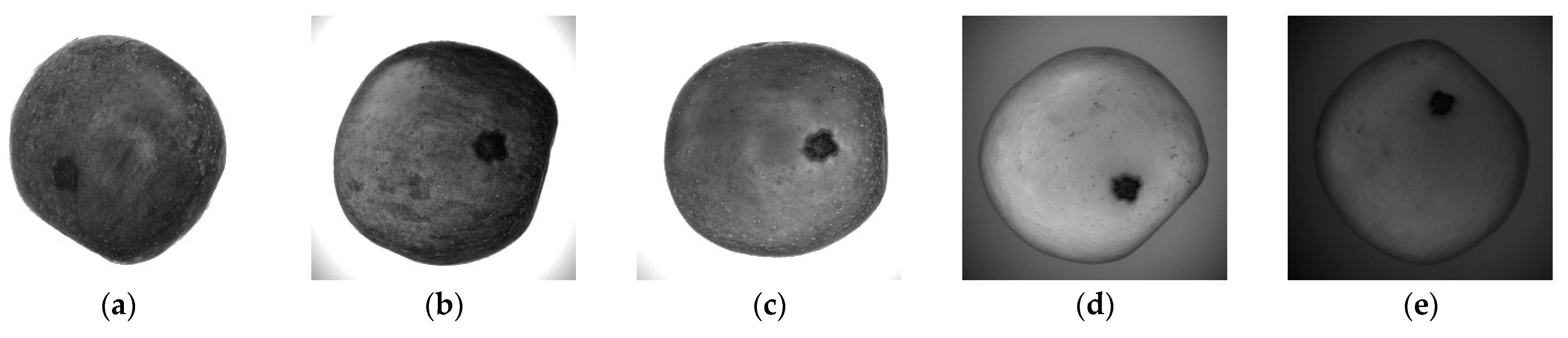 Horticulturae 08 00666 g002 550