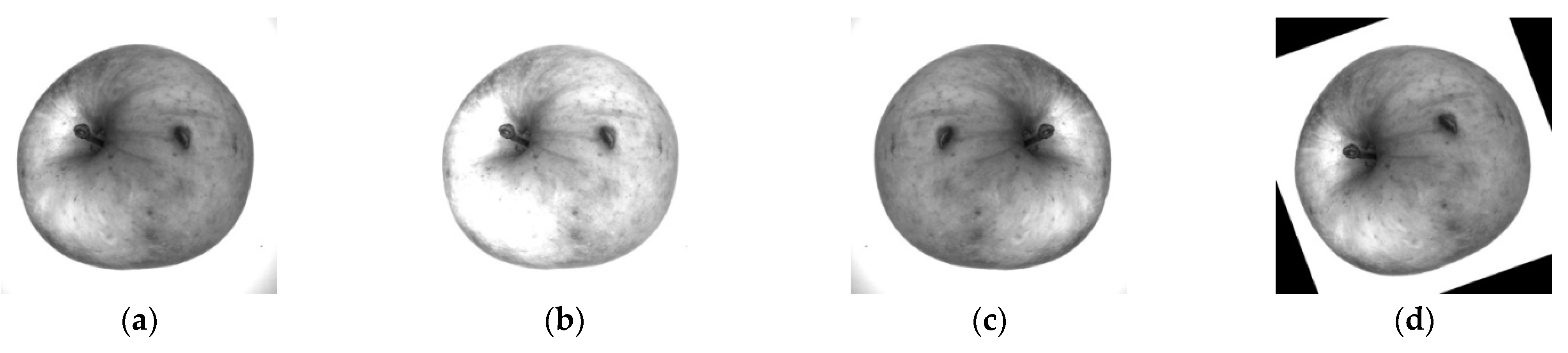 Horticulturae 08 00666 g004 550