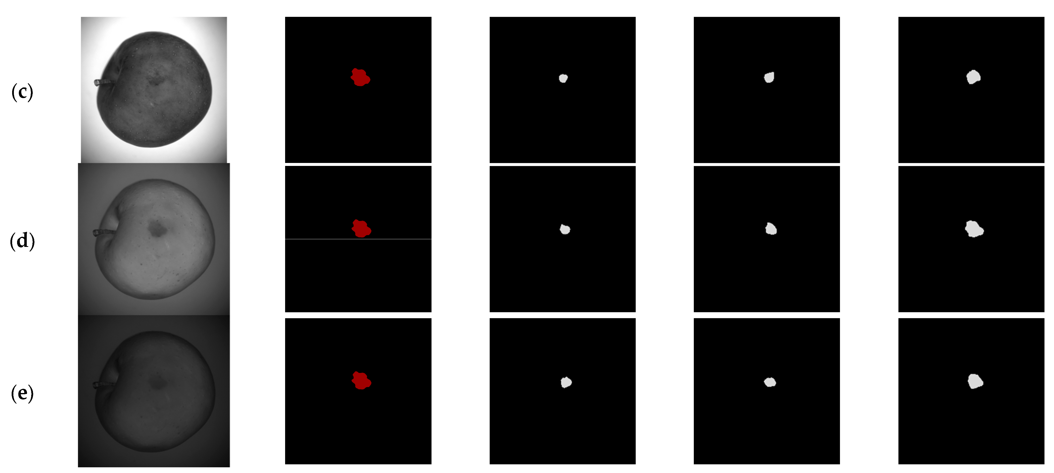 Horticulturae 08 00666 g013b 550