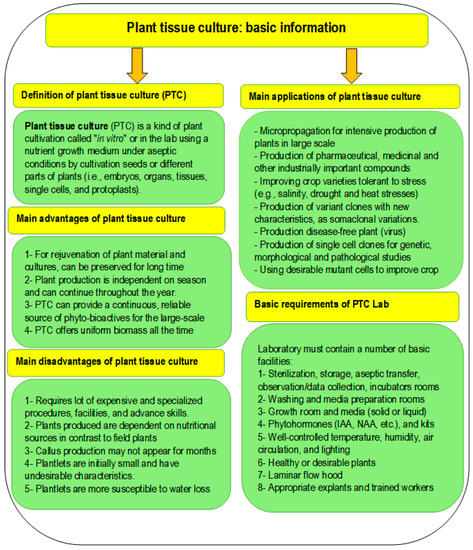 An Academic and Technical Overview on Plant Micropropagation 