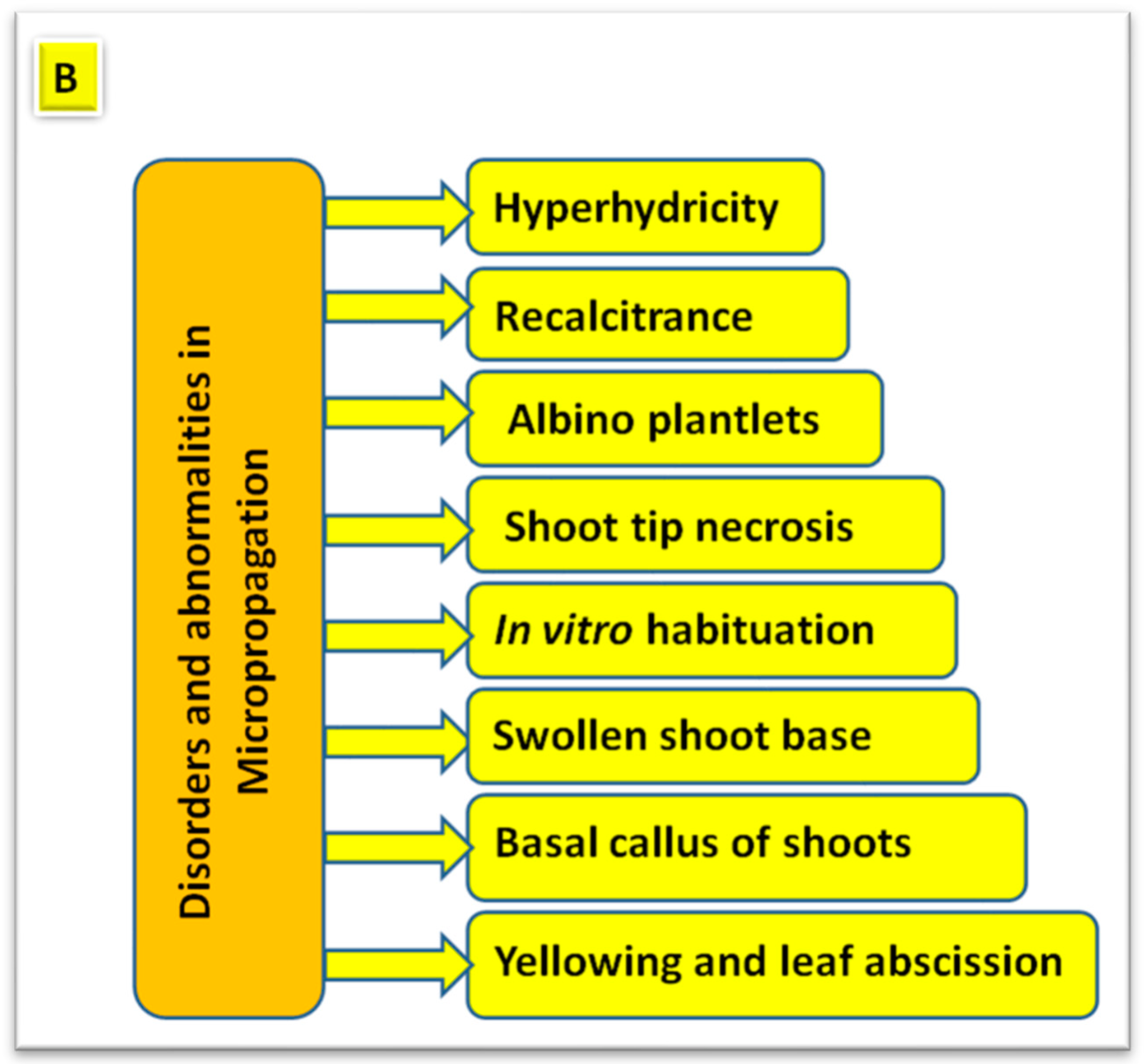 Horticulturae 08 00677 g011b