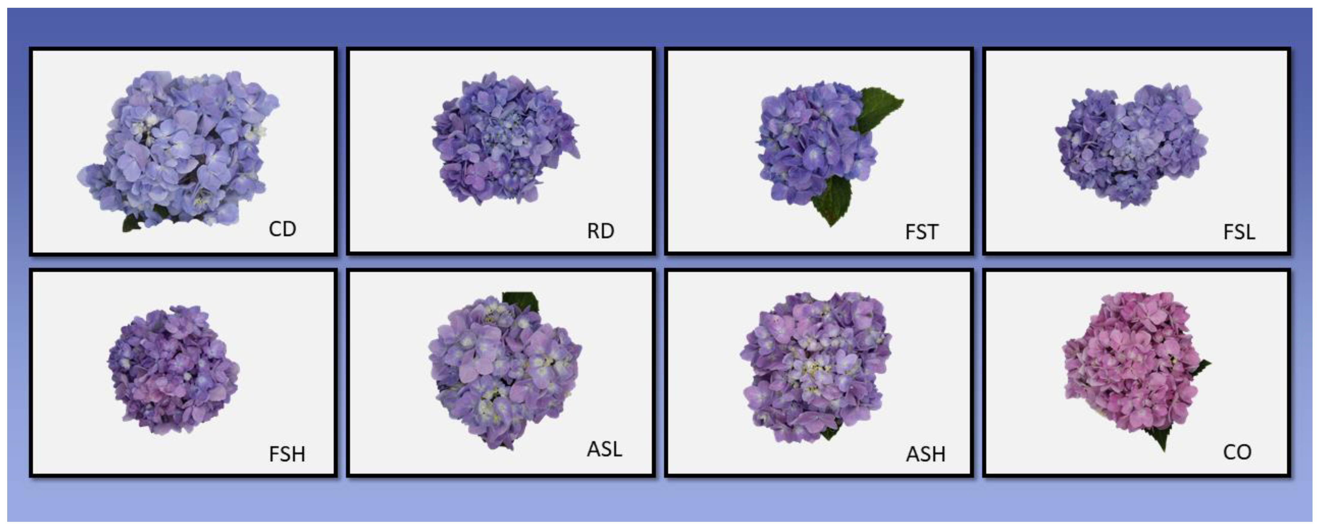 Horticulturae 08 00690 g003