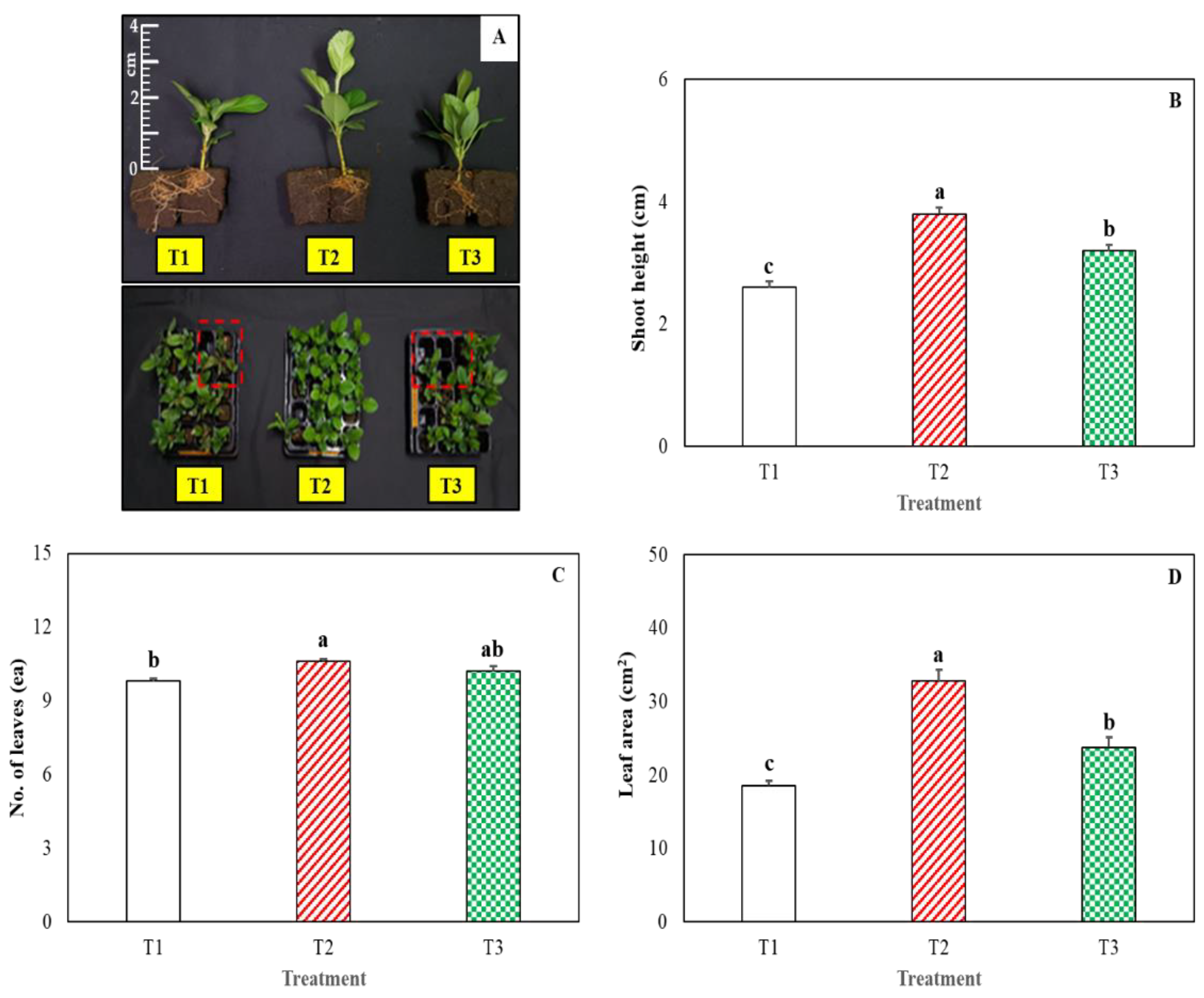 Effect of led light on plant growth discount