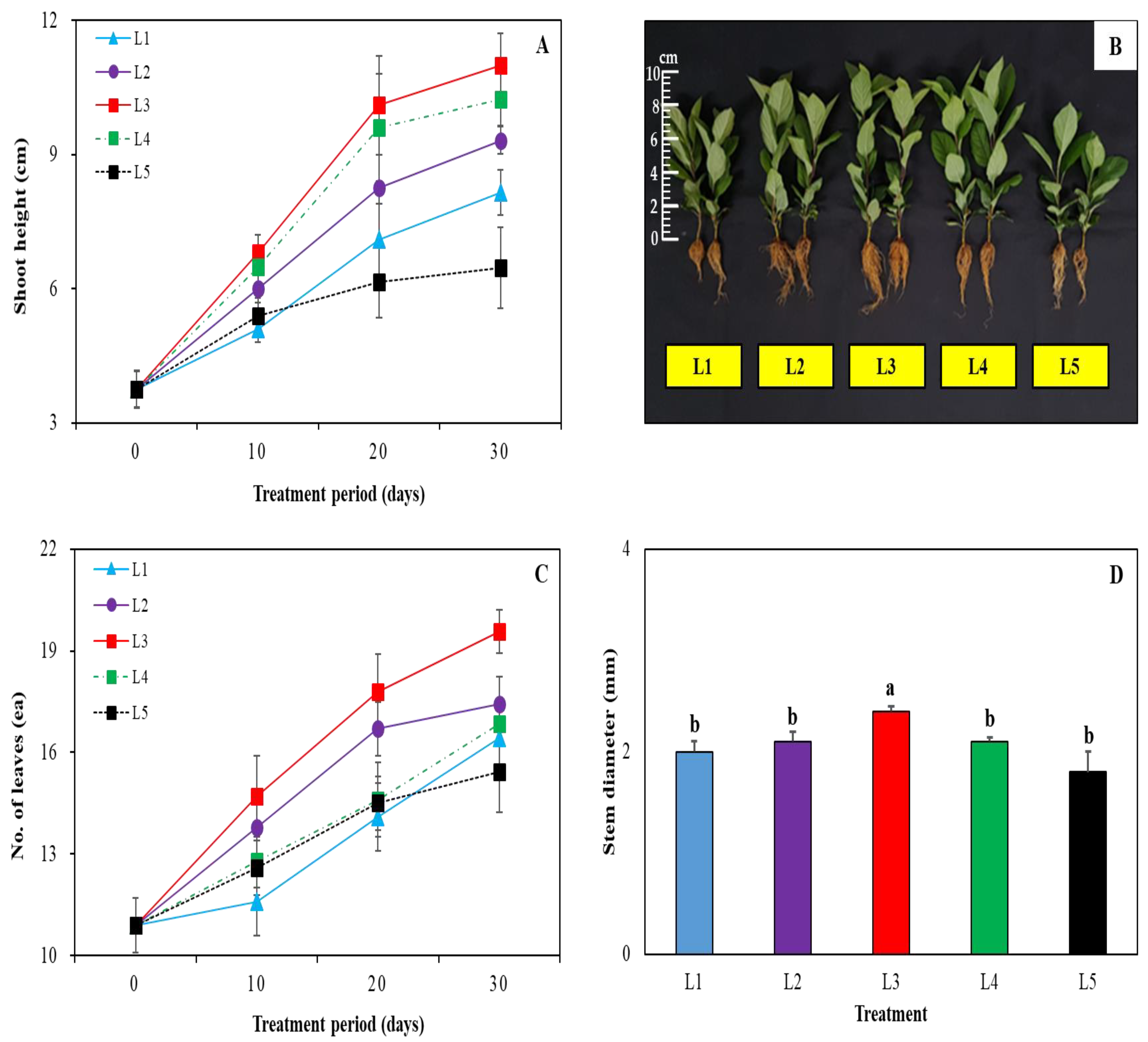 Horticulturae 08 00692 g002