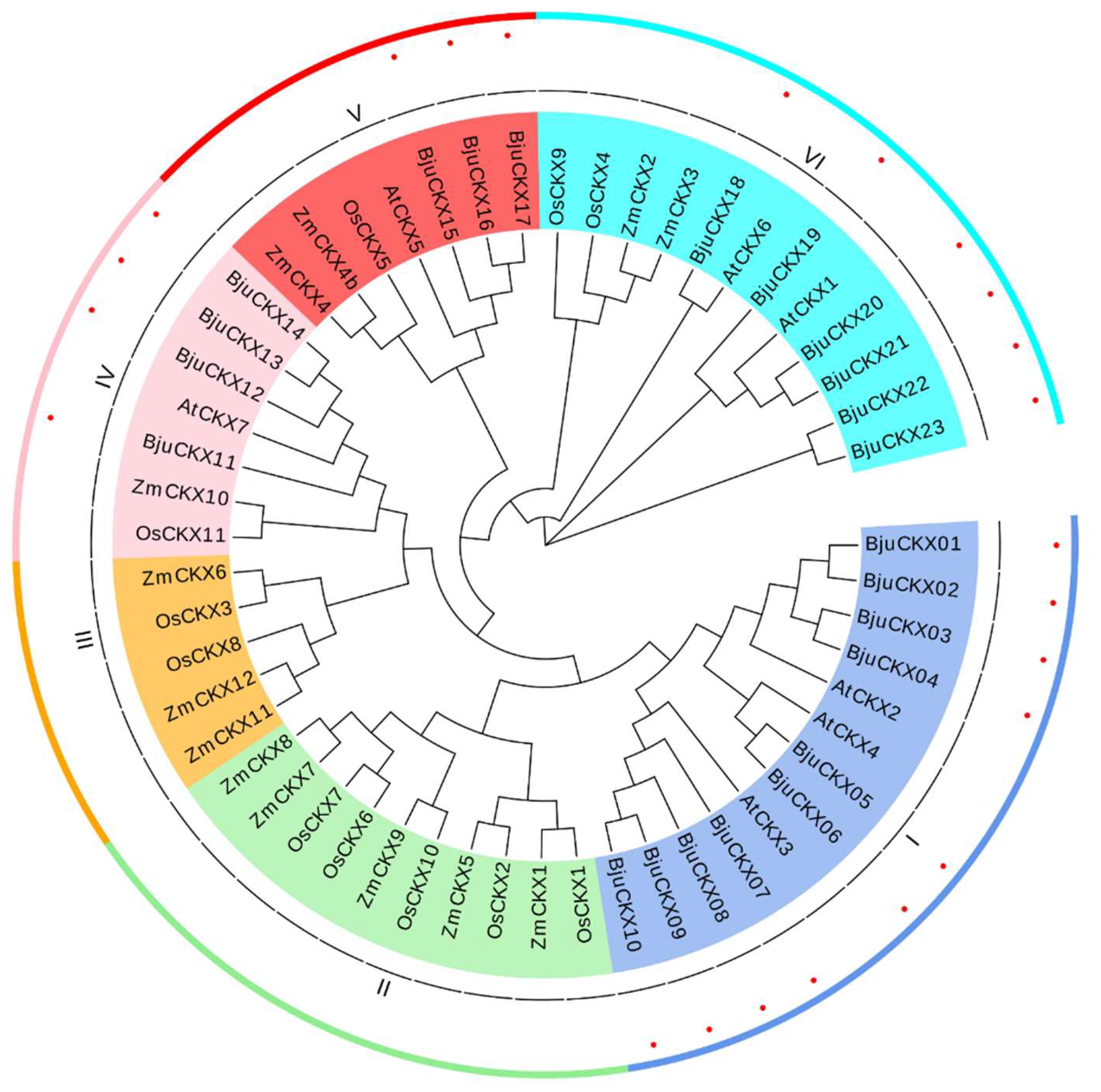 Horticulturae 08 00705 g001