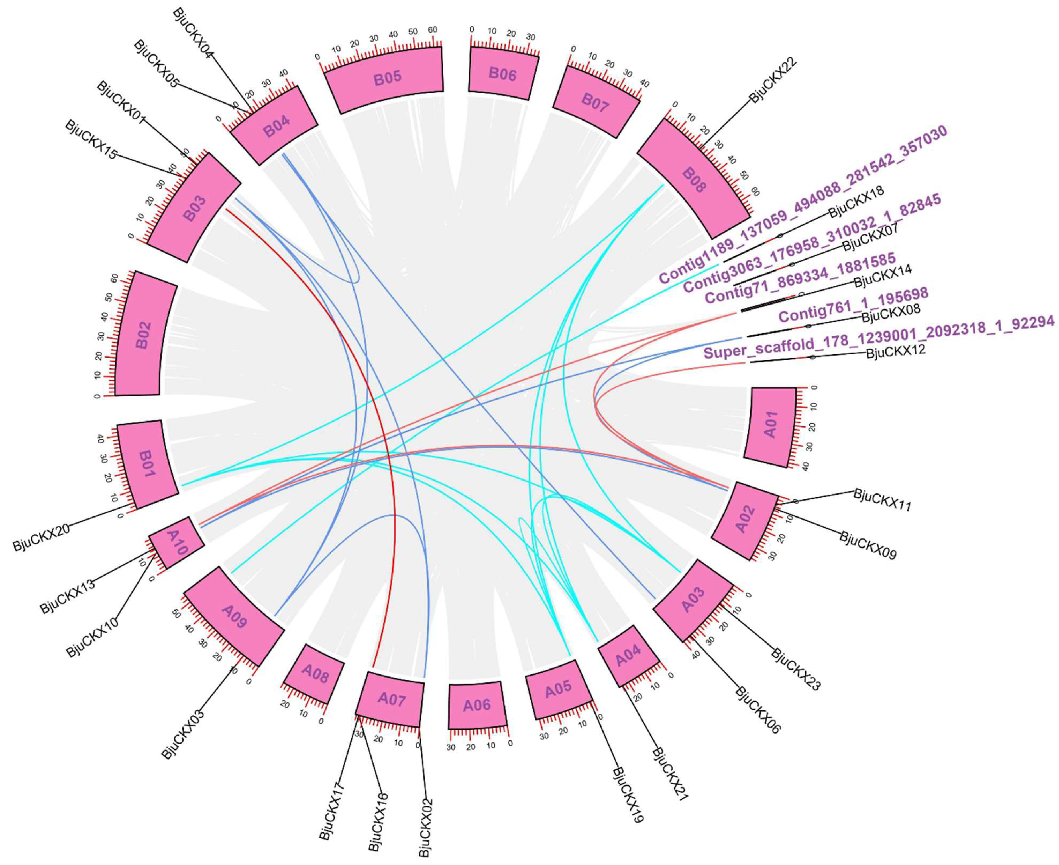 Horticulturae 08 00705 g002