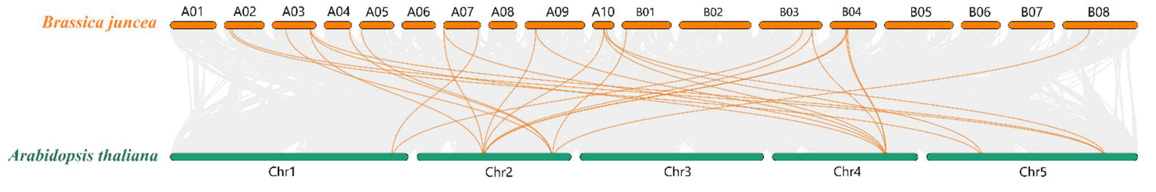 Horticulturae 08 00705 g003