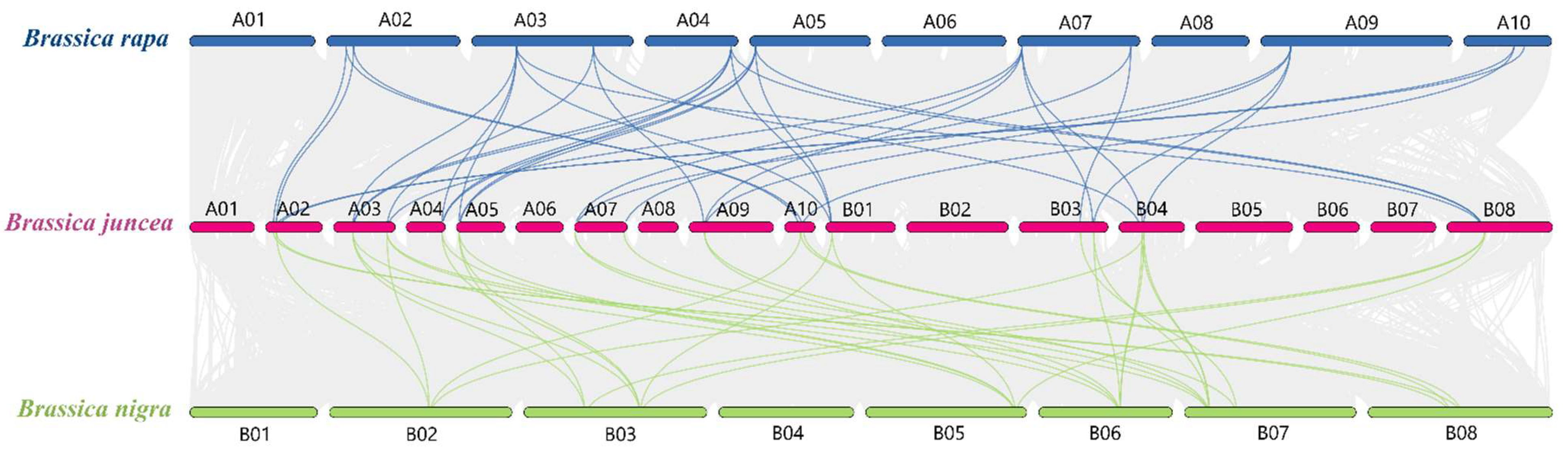 Horticulturae 08 00705 g004