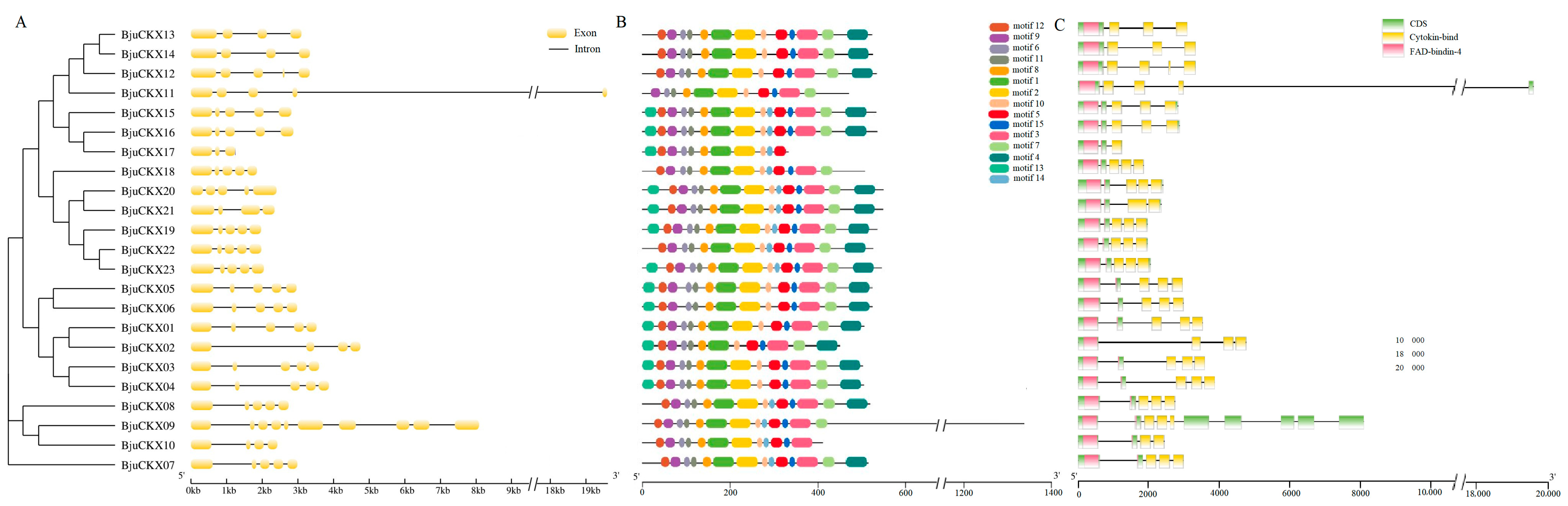 Horticulturae 08 00705 g005