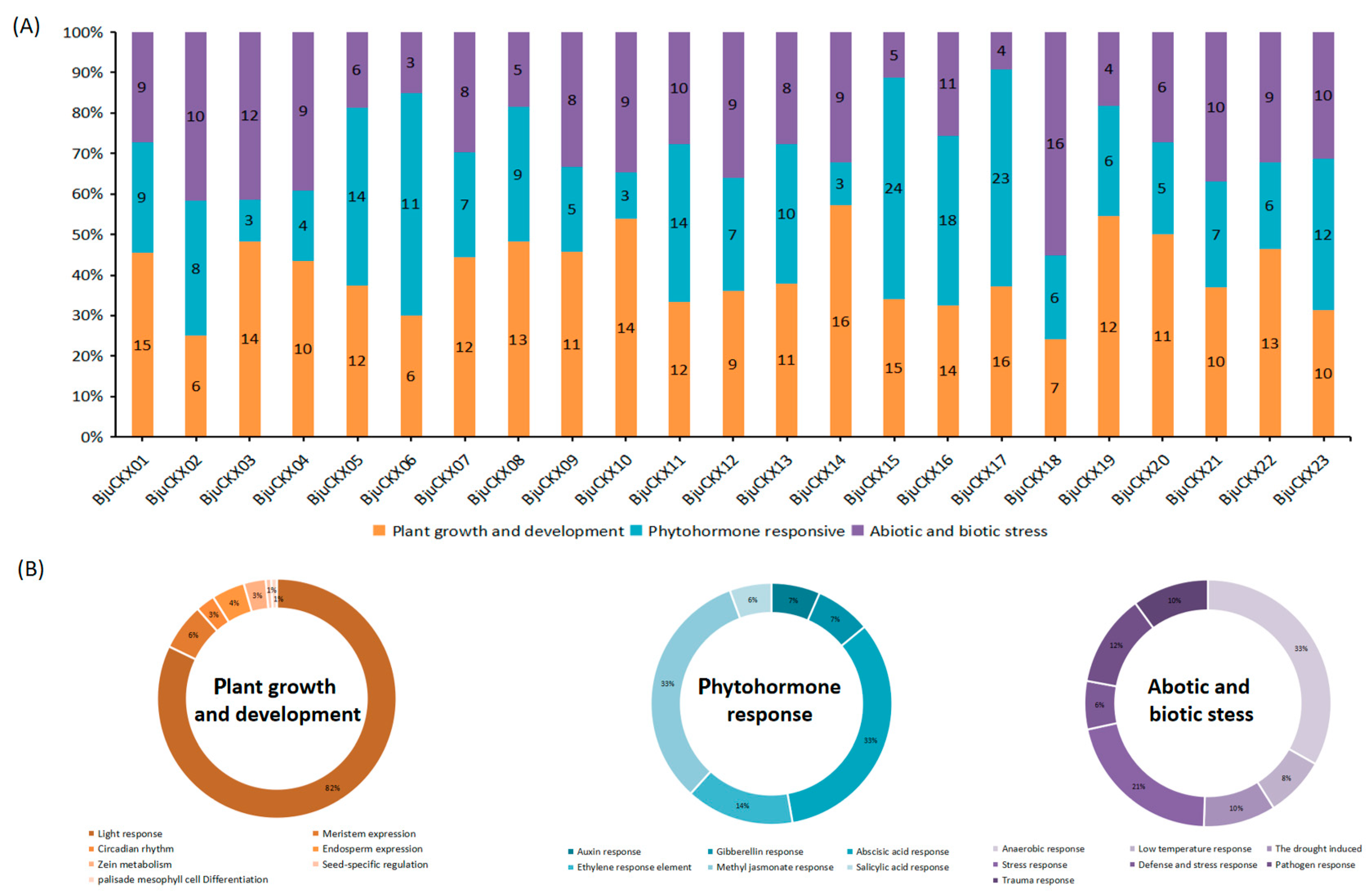Identification and Expression Analysis of CKX Gene Family in
