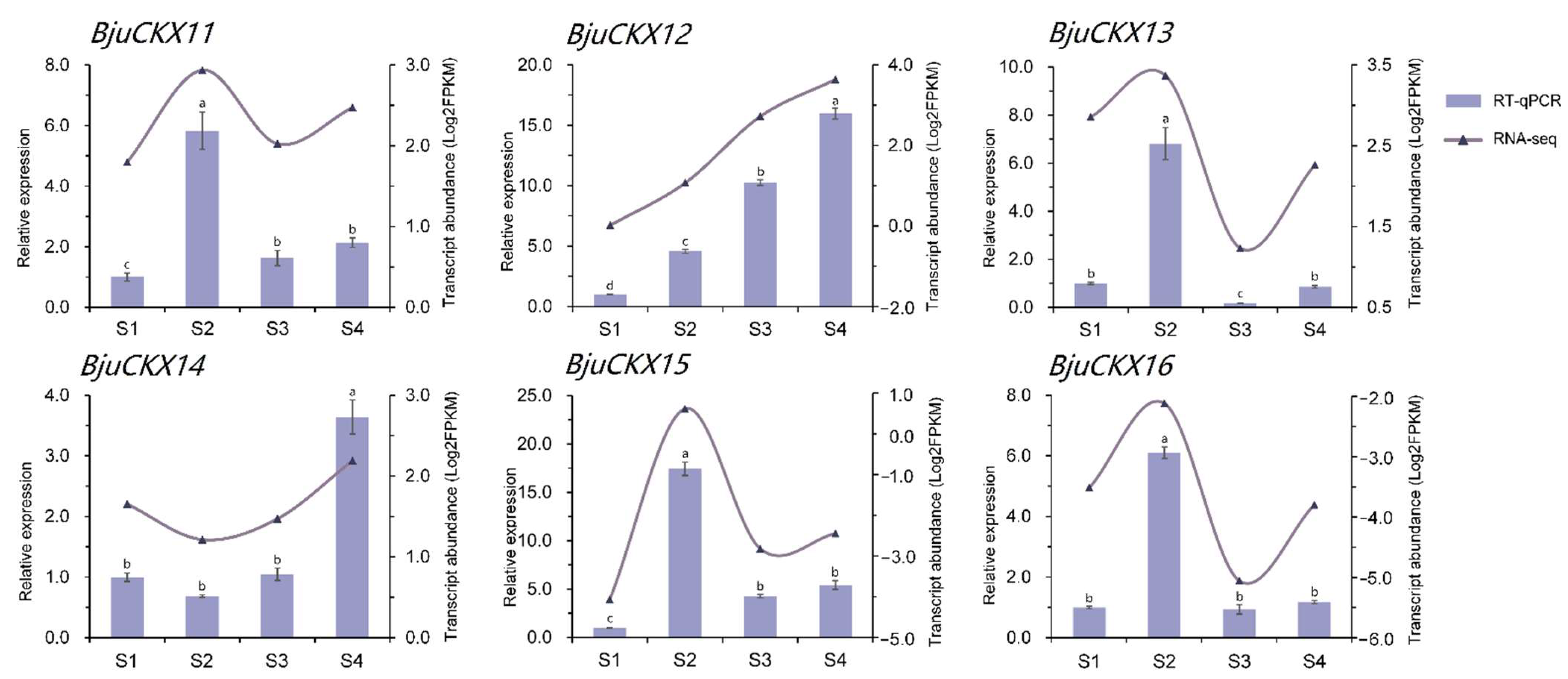 Horticulturae 08 00705 g008
