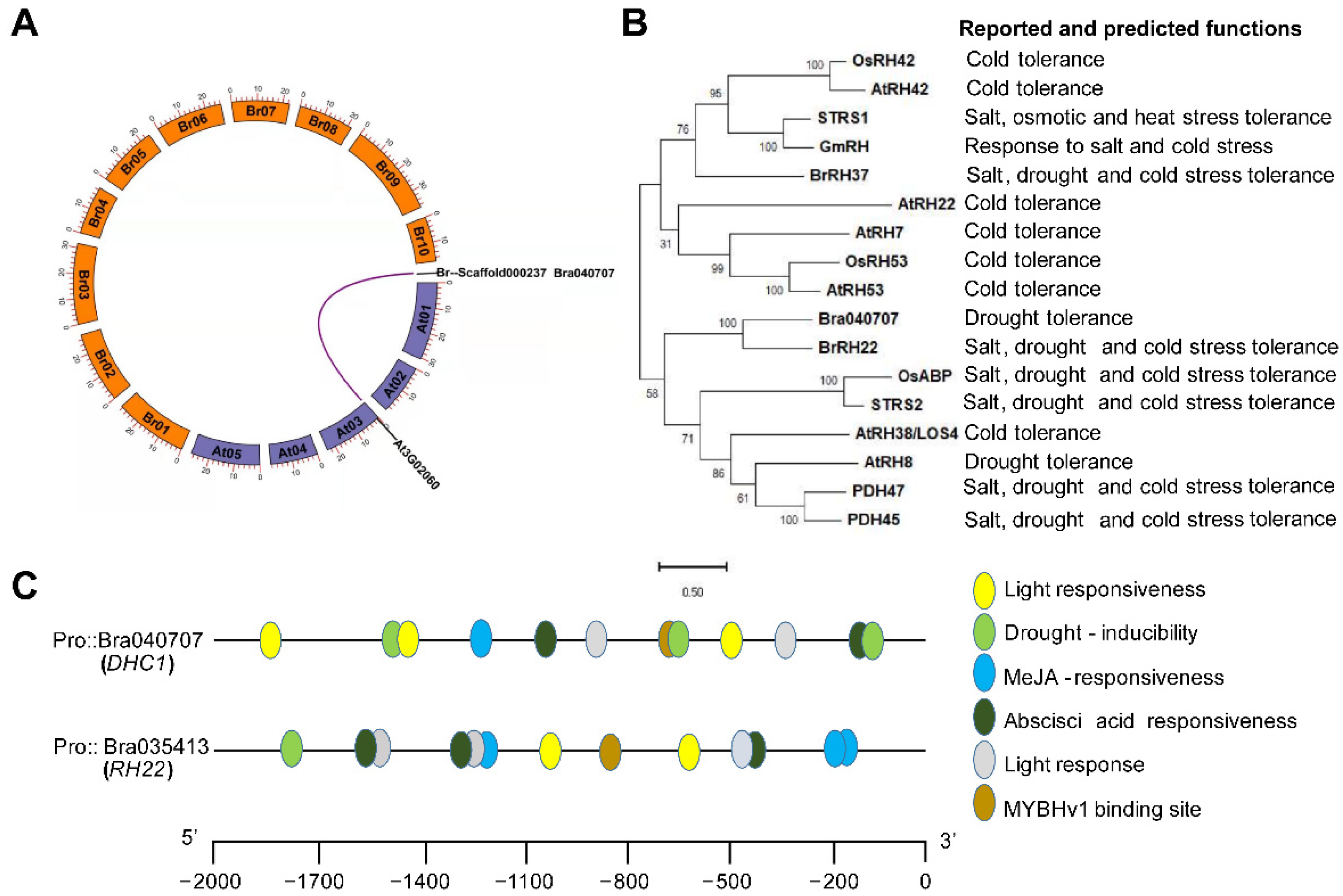 Horticulturae 08 00707 g001