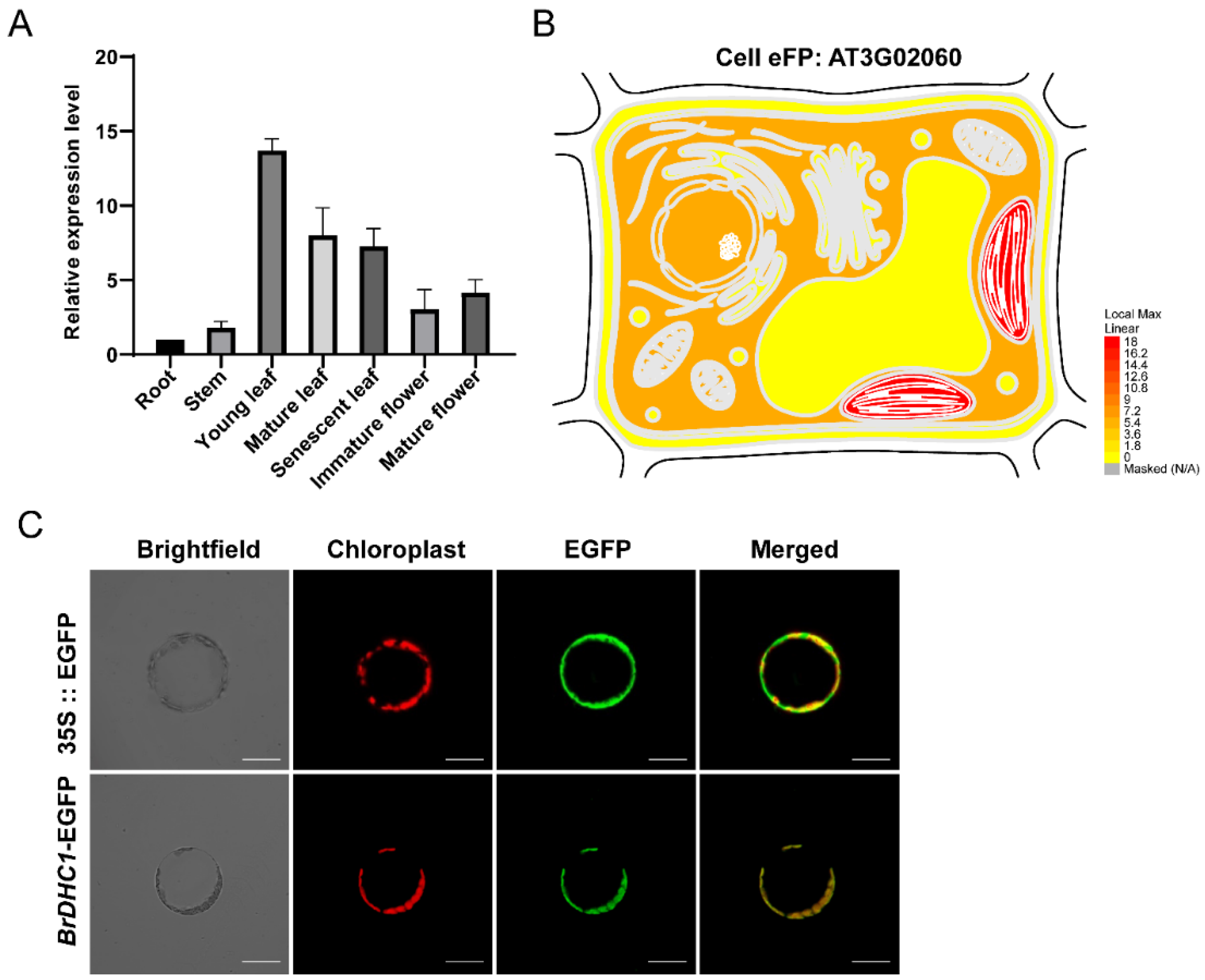 Horticulturae 08 00707 g002