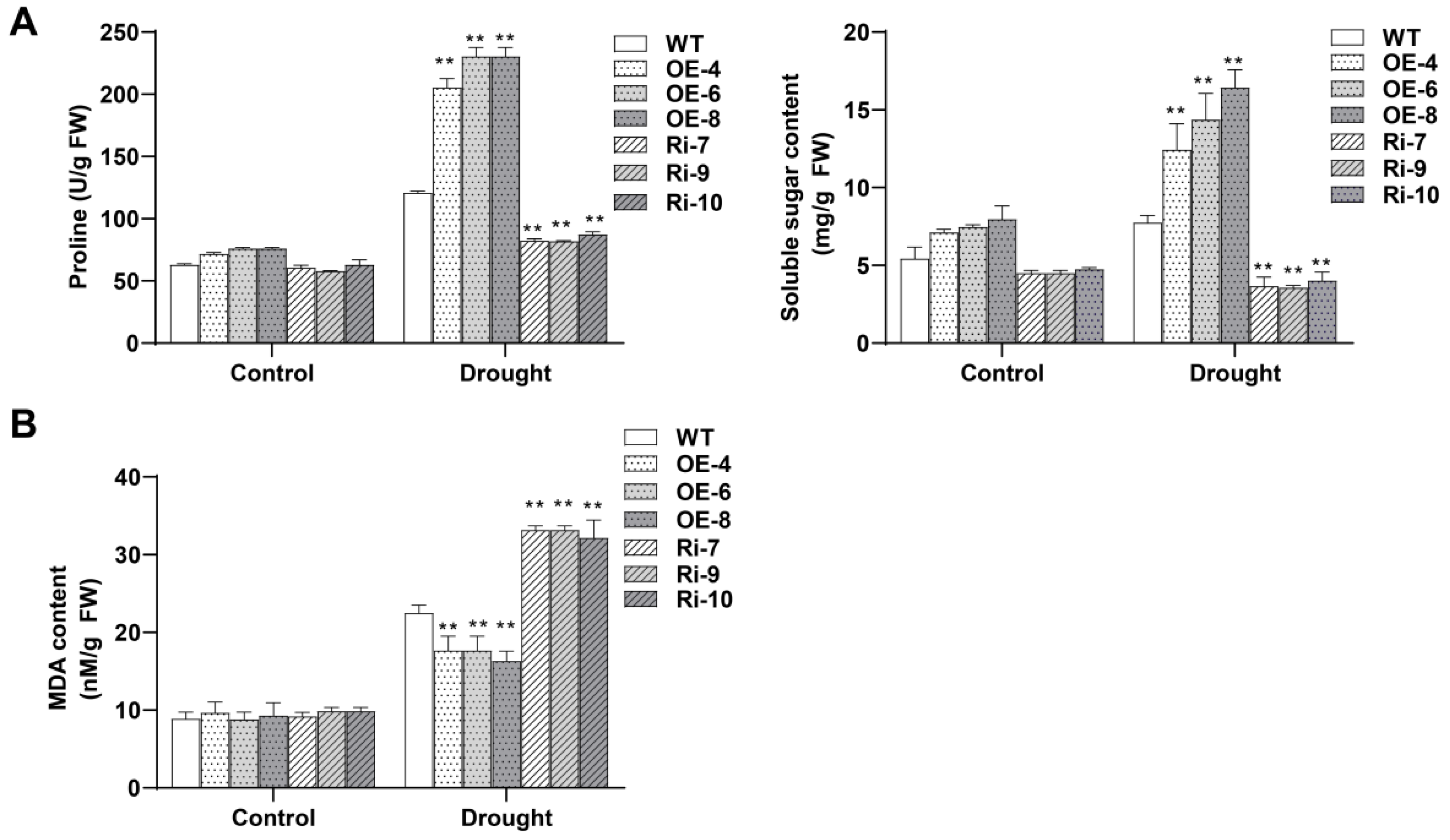 Horticulturae 08 00707 g007