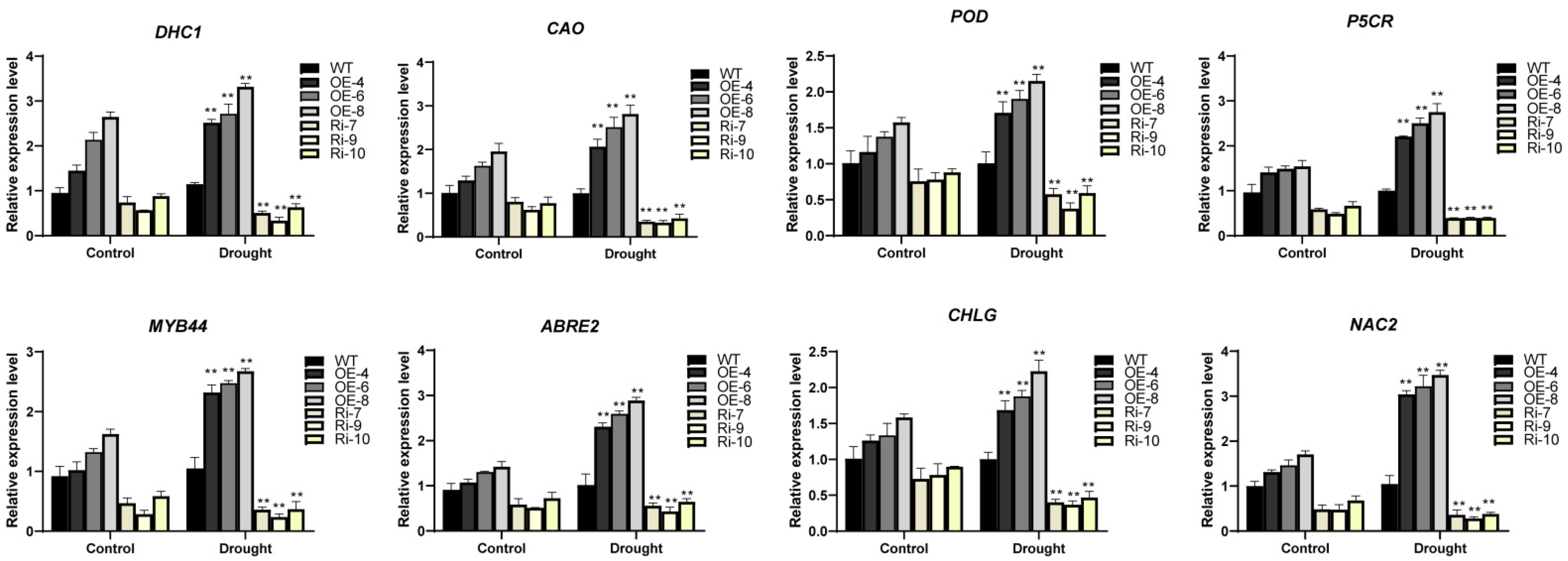 Horticulturae 08 00707 g008