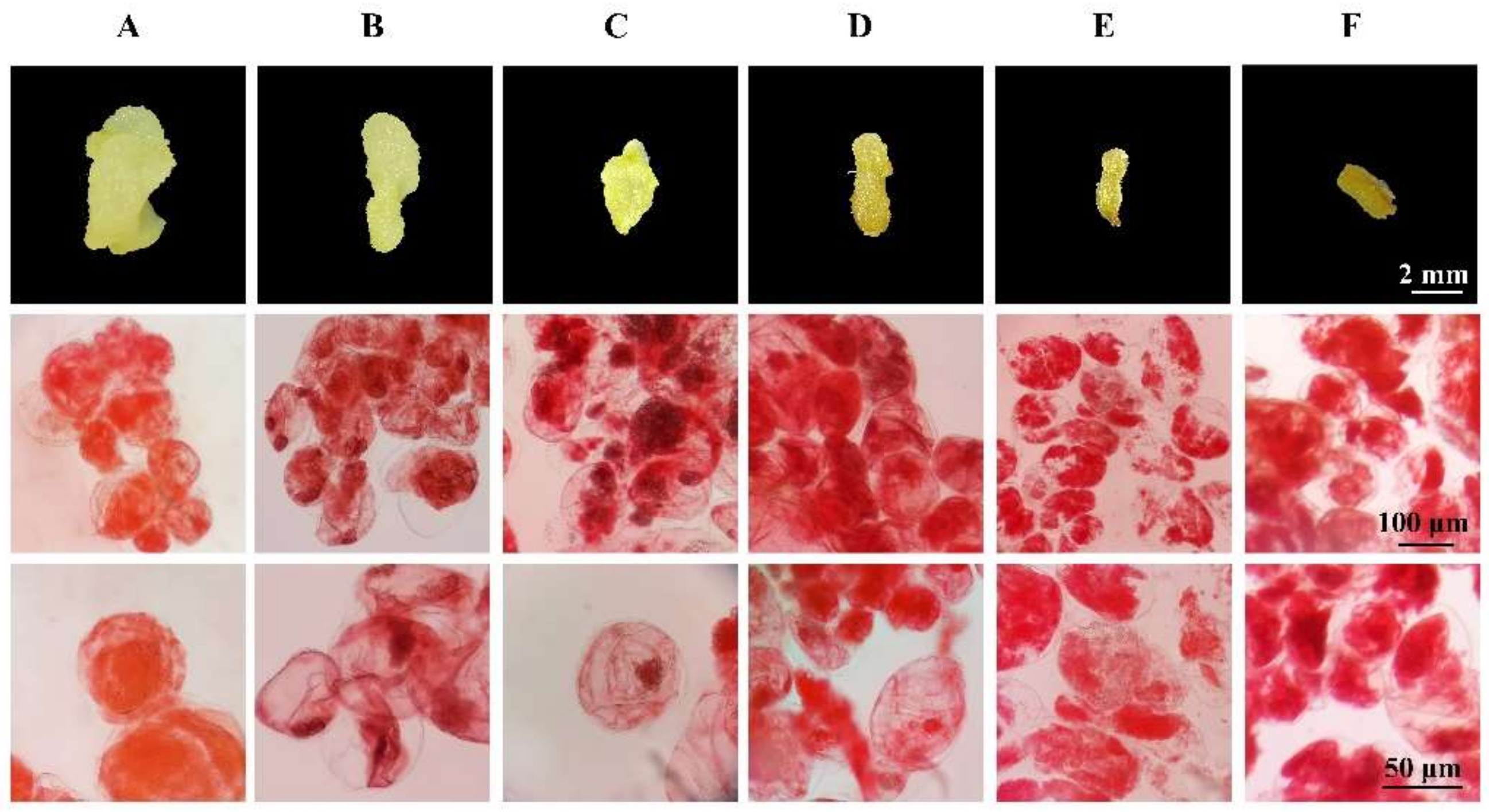 Horticulturae 08 00715 g005