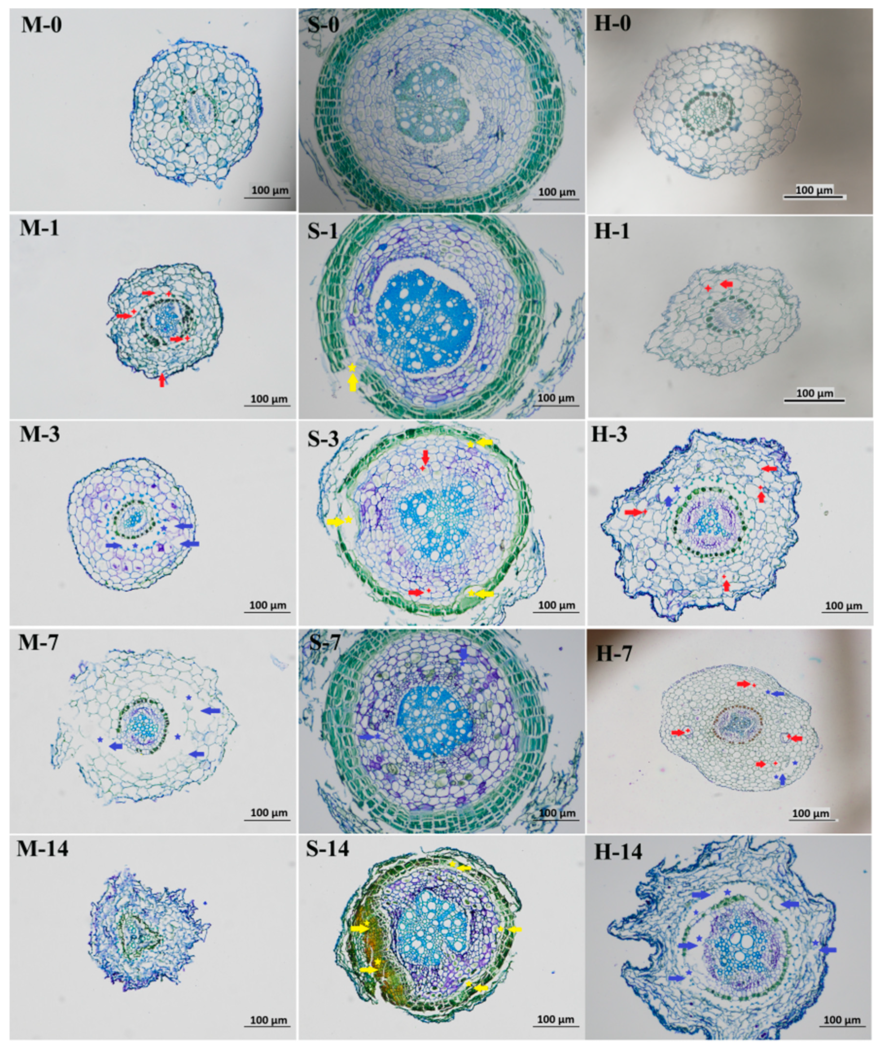Horticulturae 08 00720 g008