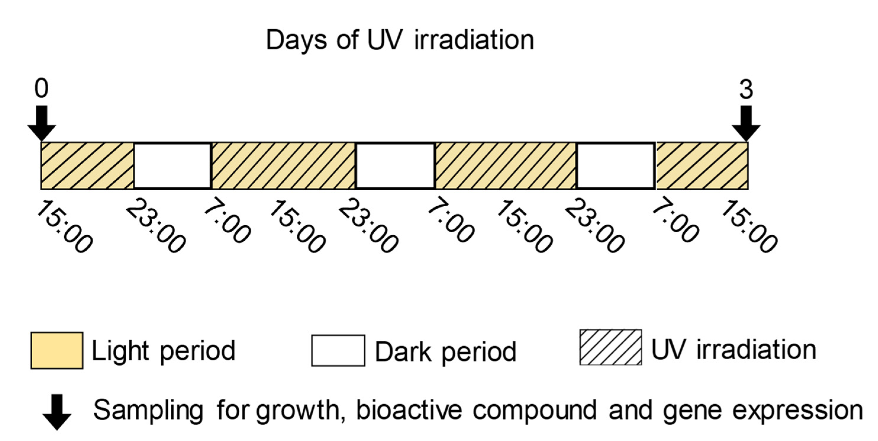 Horticulturae 08 00725 g002