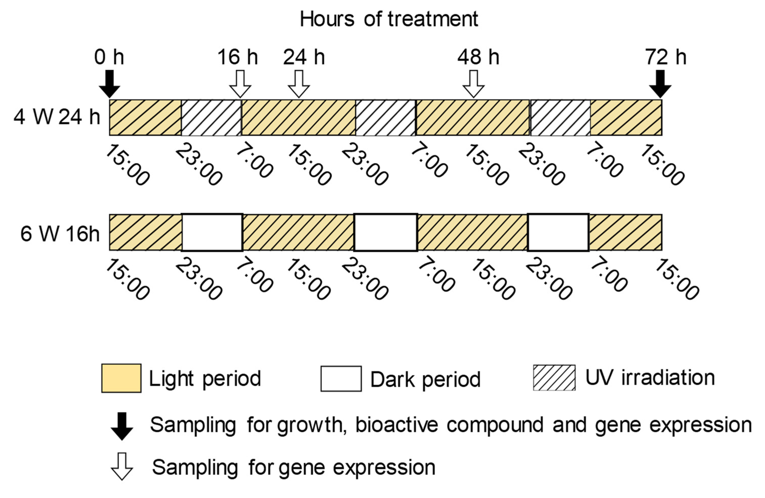 Horticulturae 08 00725 g003