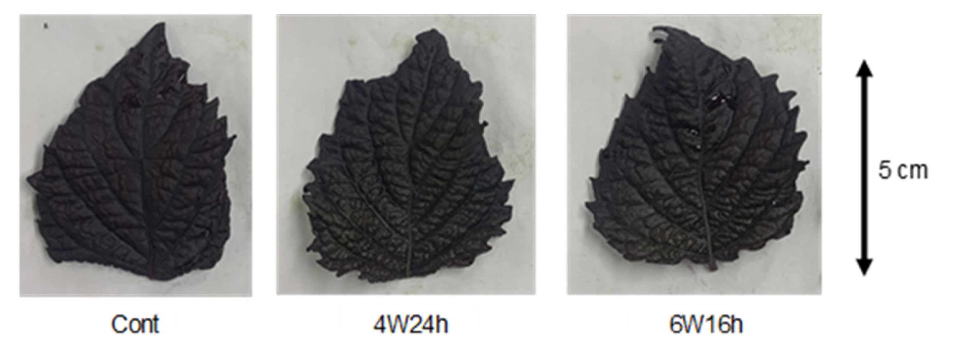 Horticulturae 08 00725 g006