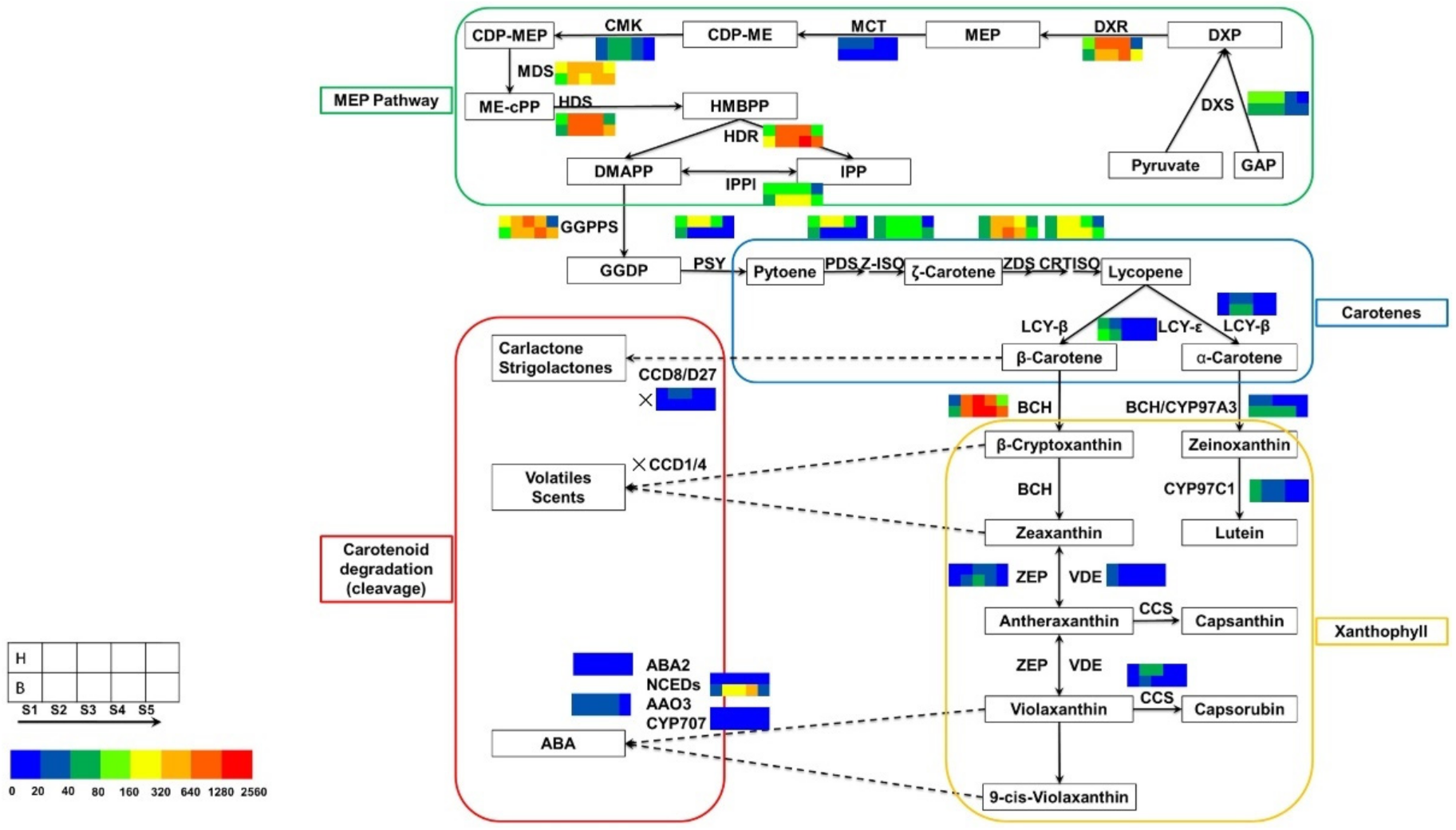 Horticulturae 08 00727 g006