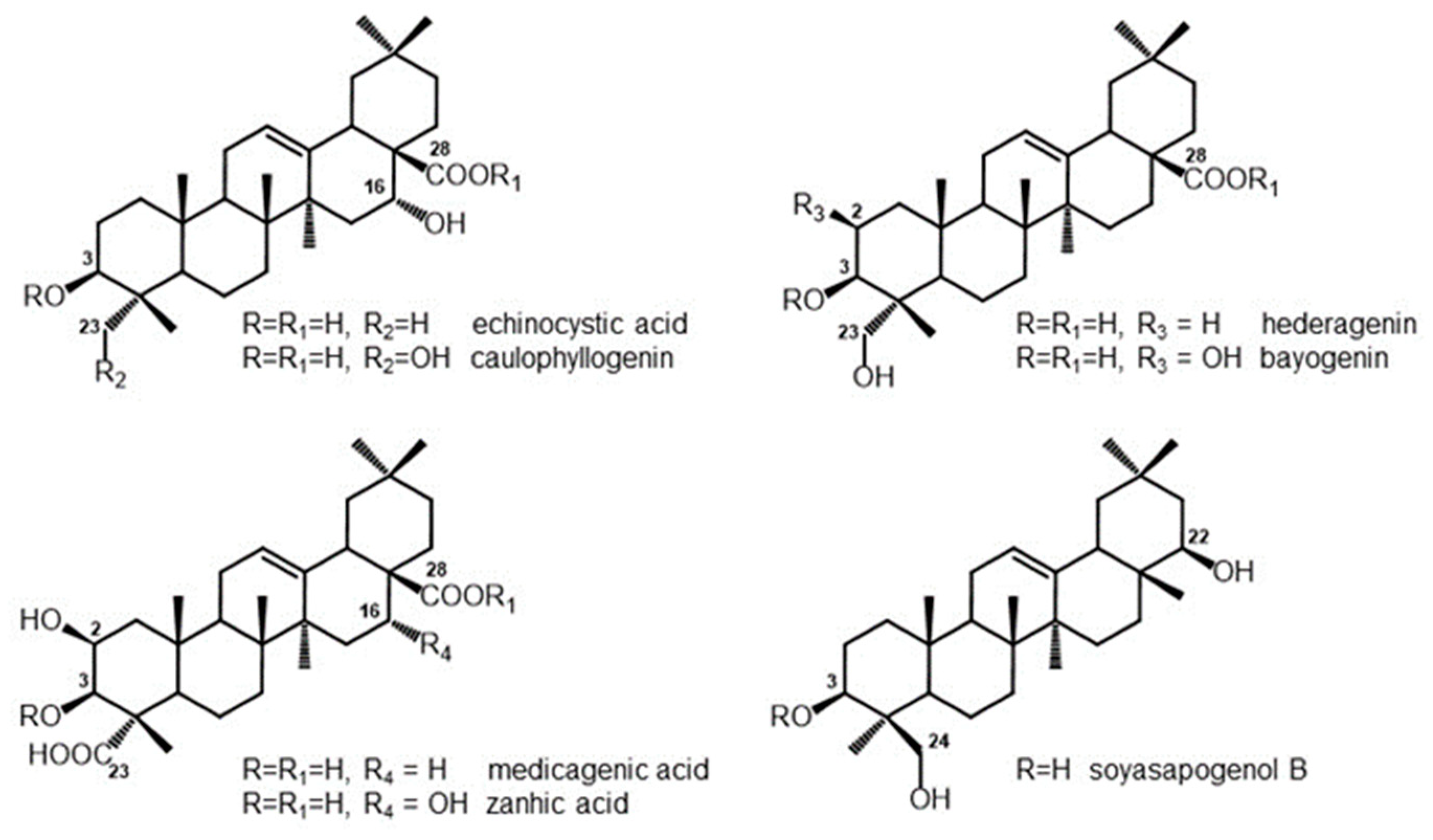 Horticulturae 08 00729 g001