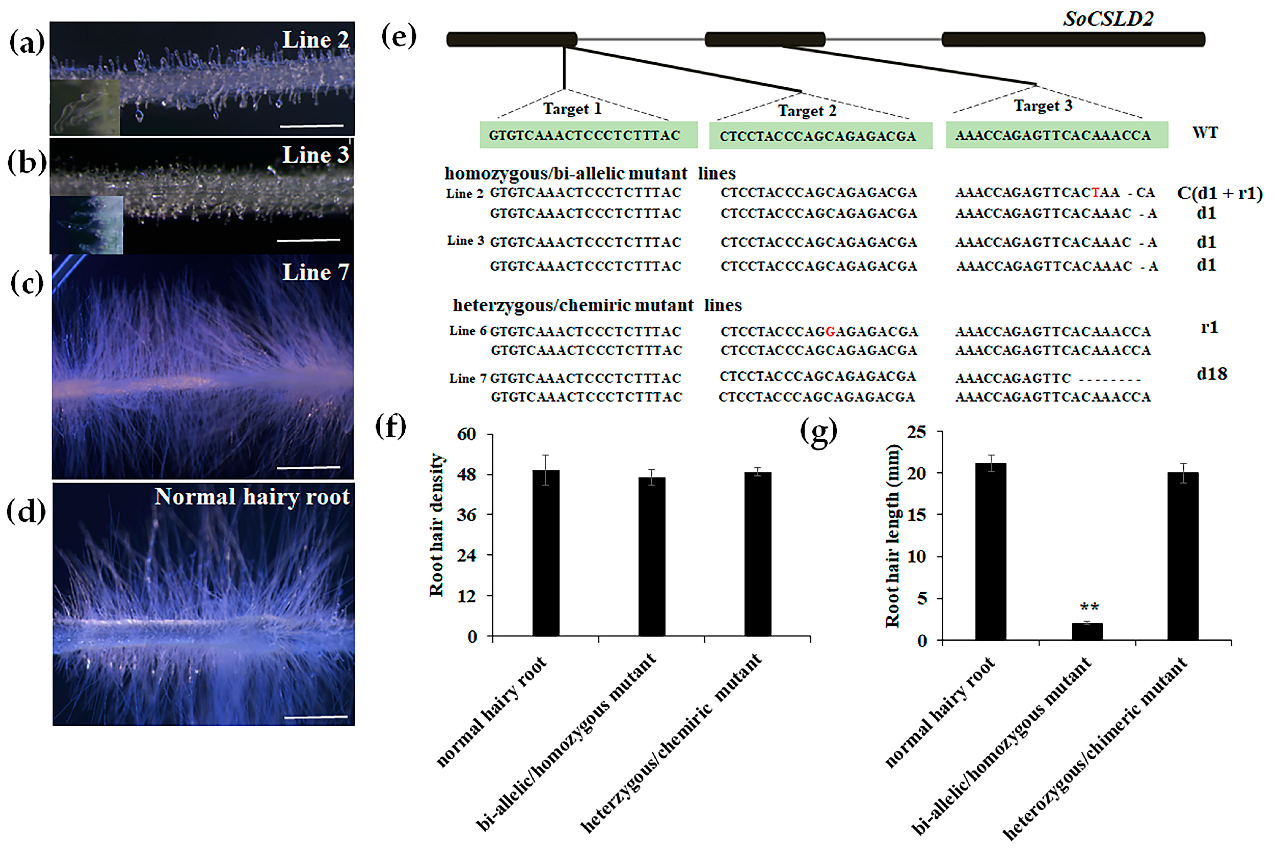 Horticulturae 08 00735 g003