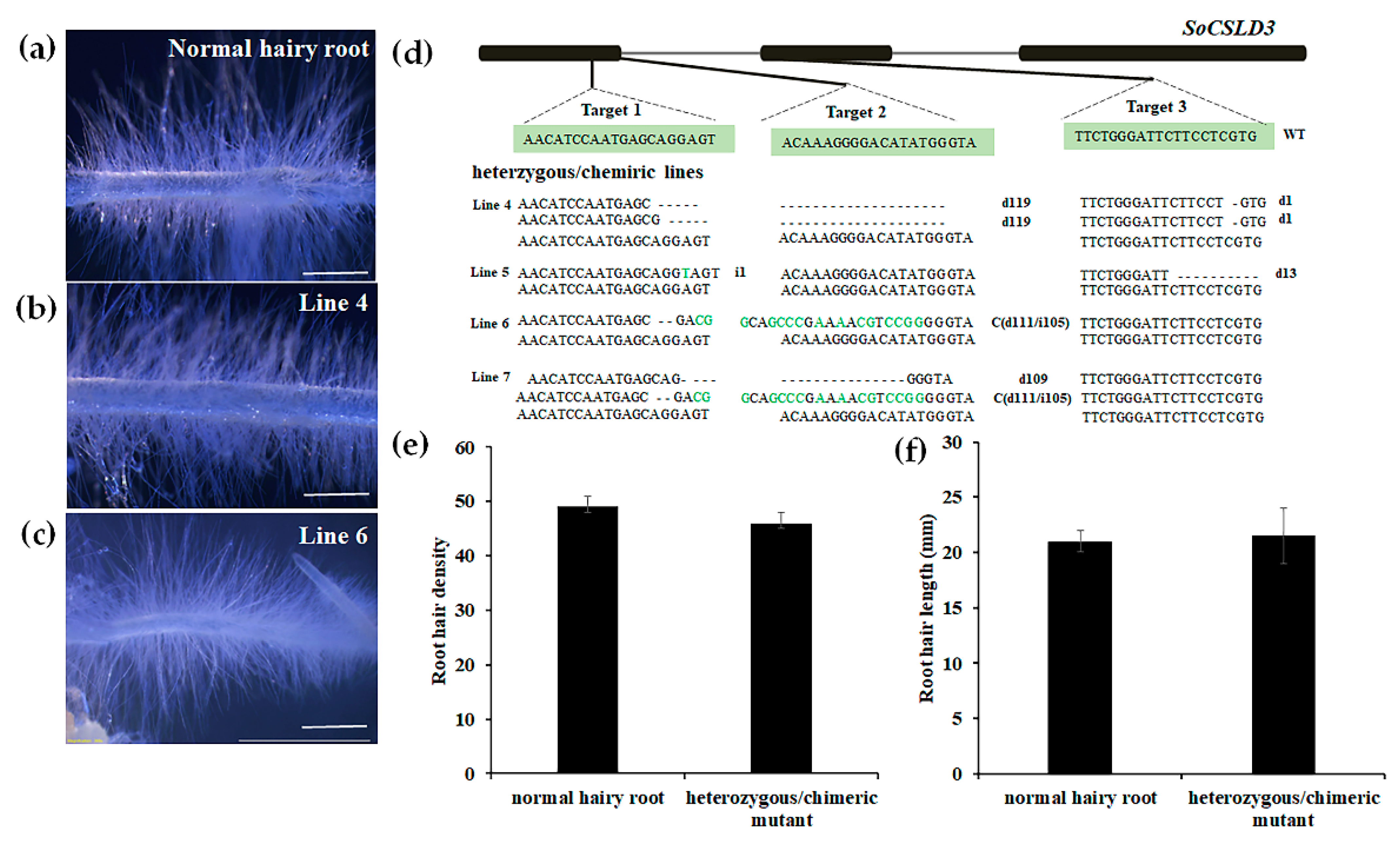 Horticulturae 08 00735 g004