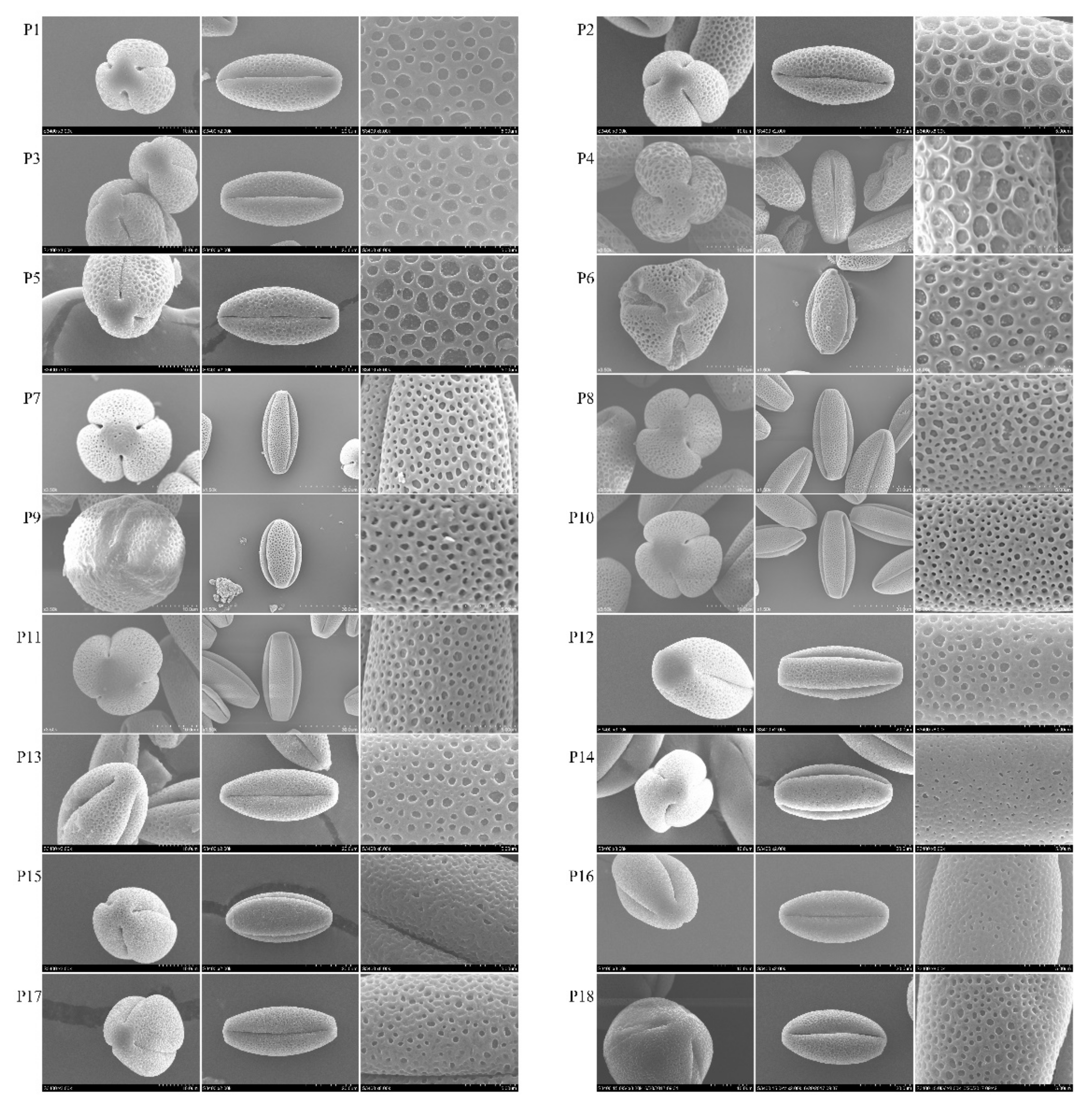 Horticulturae 08 00736 g002 550