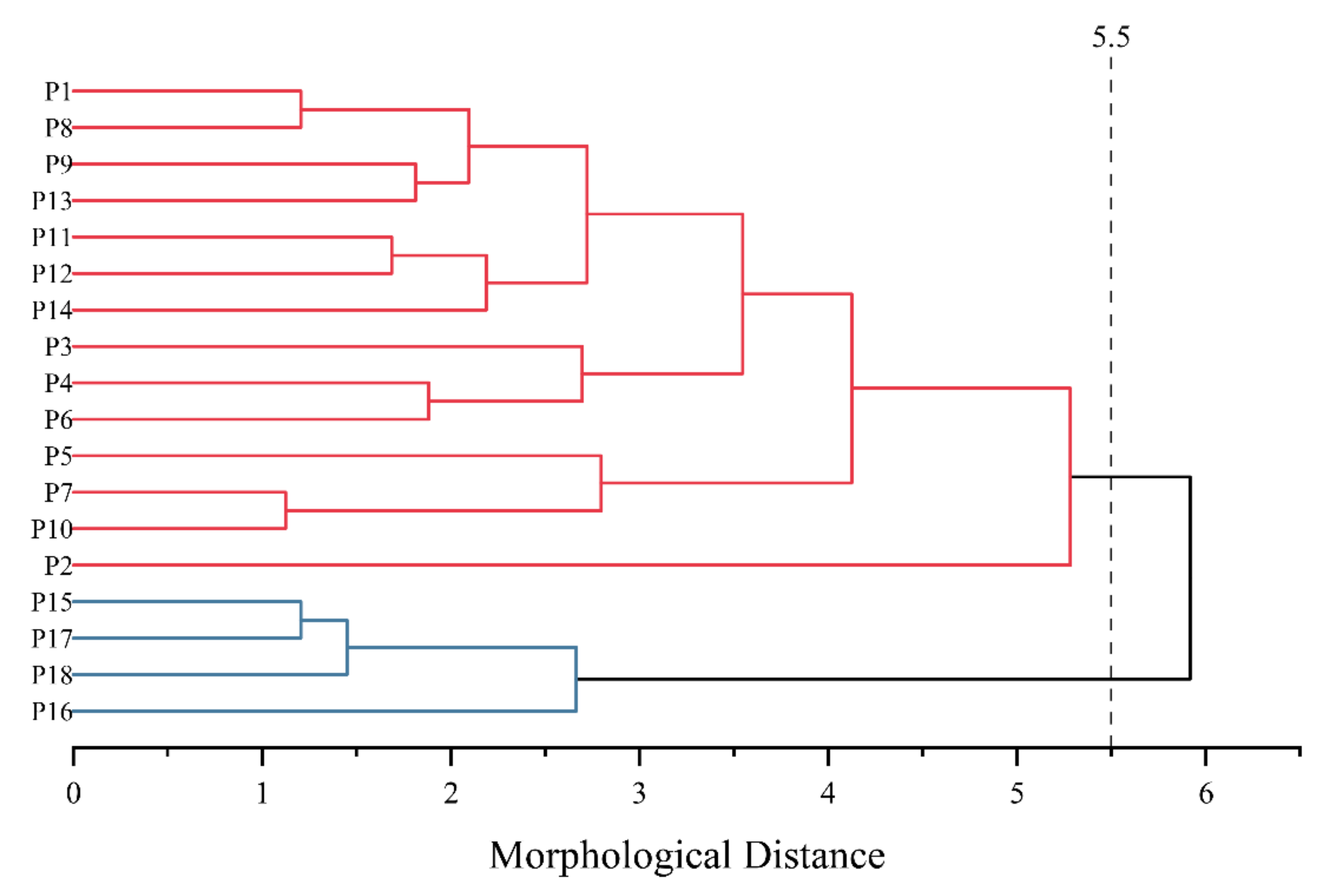 Horticulturae 08 00736 g004 550