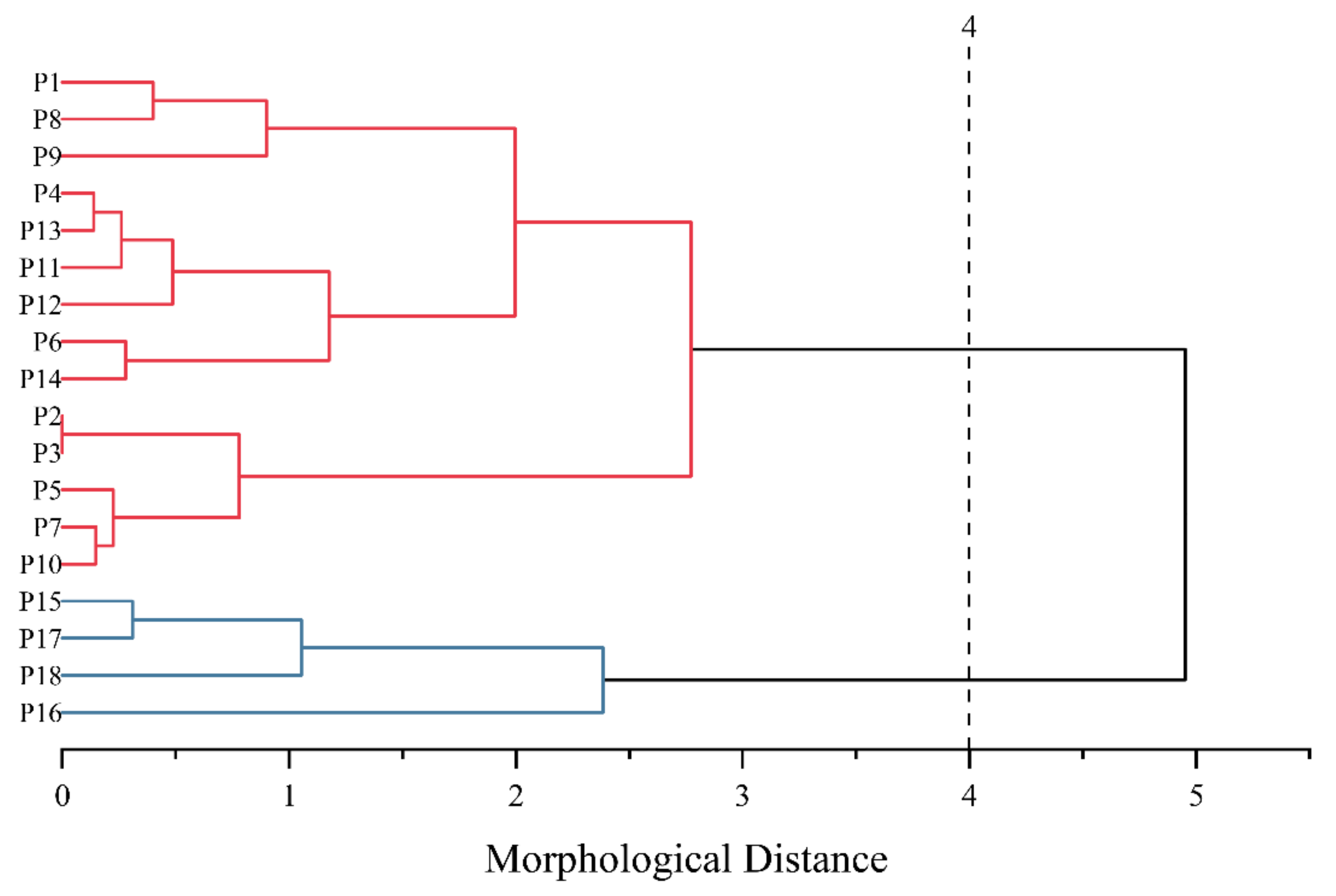 Horticulturae 08 00736 g006 550