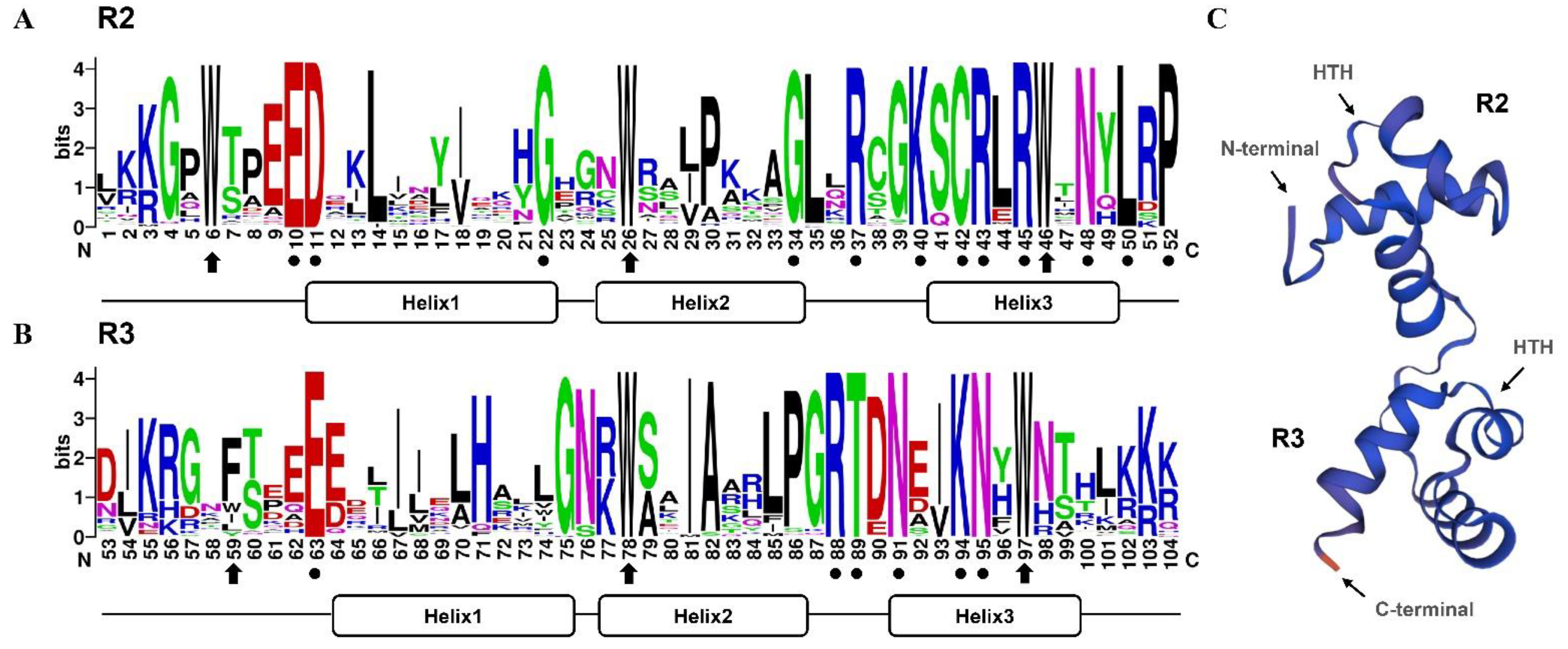 Horticulturae 08 00742 g001