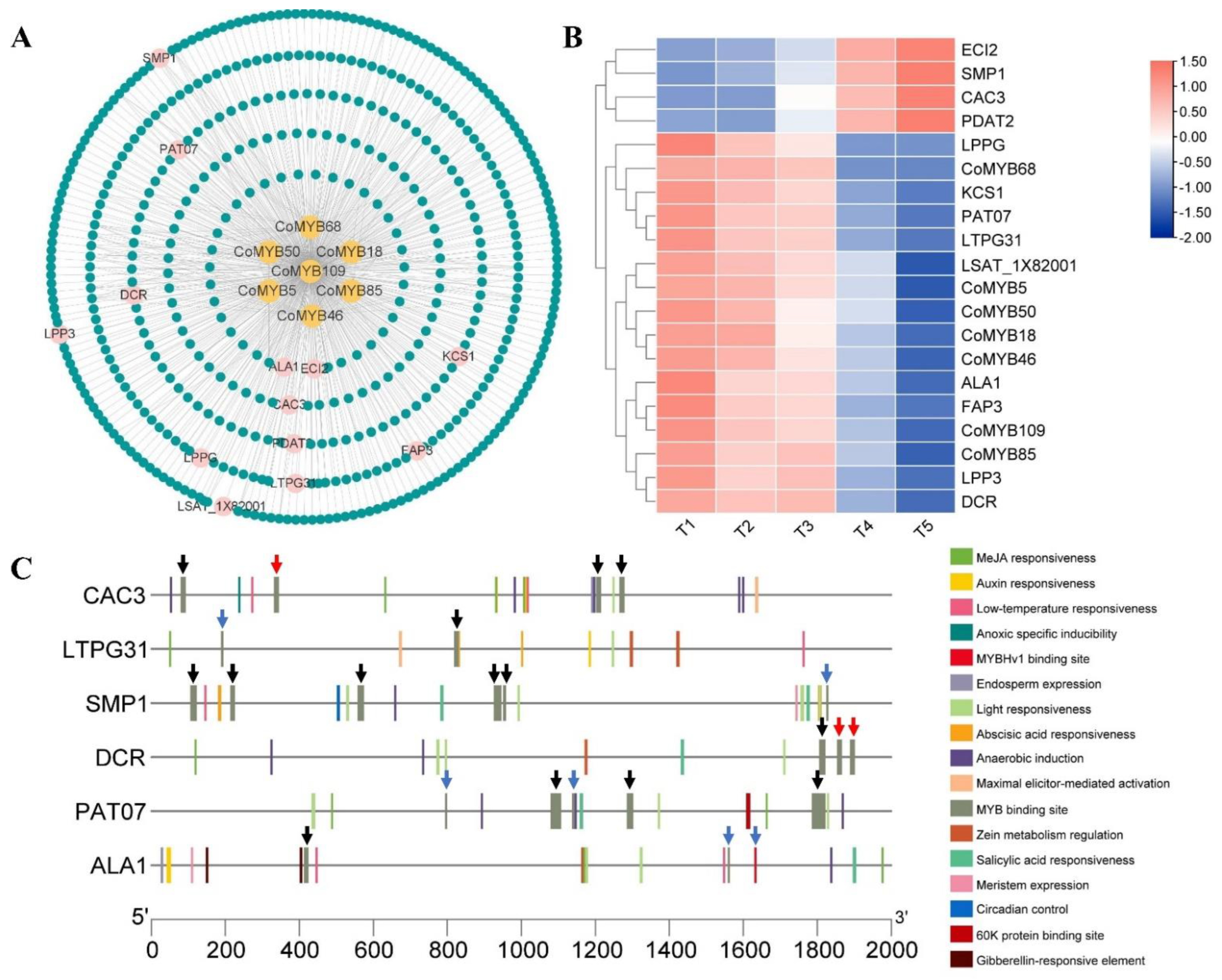 Horticulturae 08 00742 g007