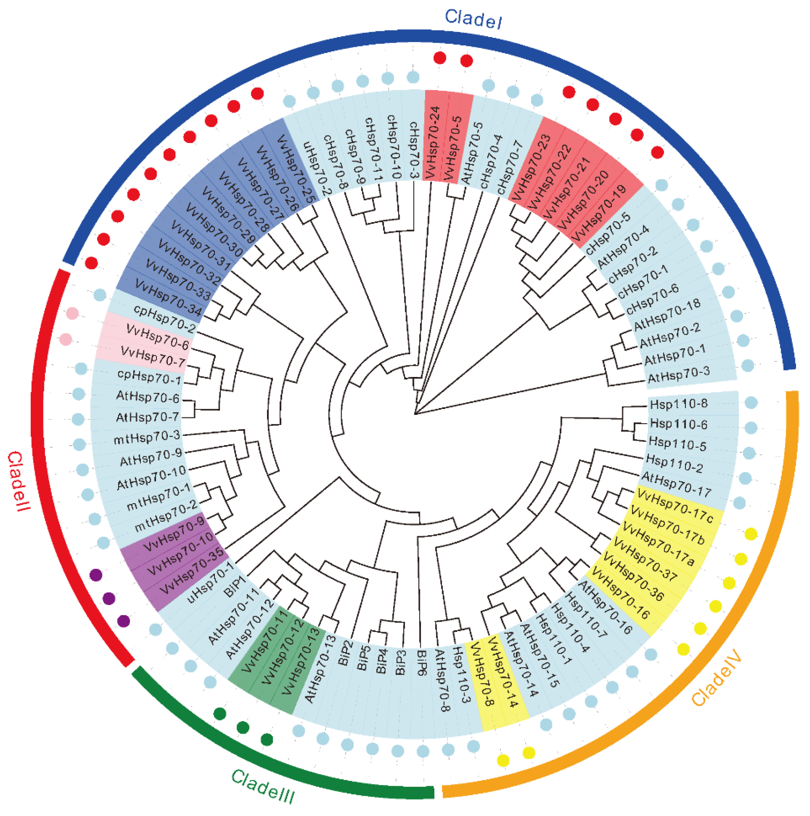 Horticulturae 08 00743 g001 550