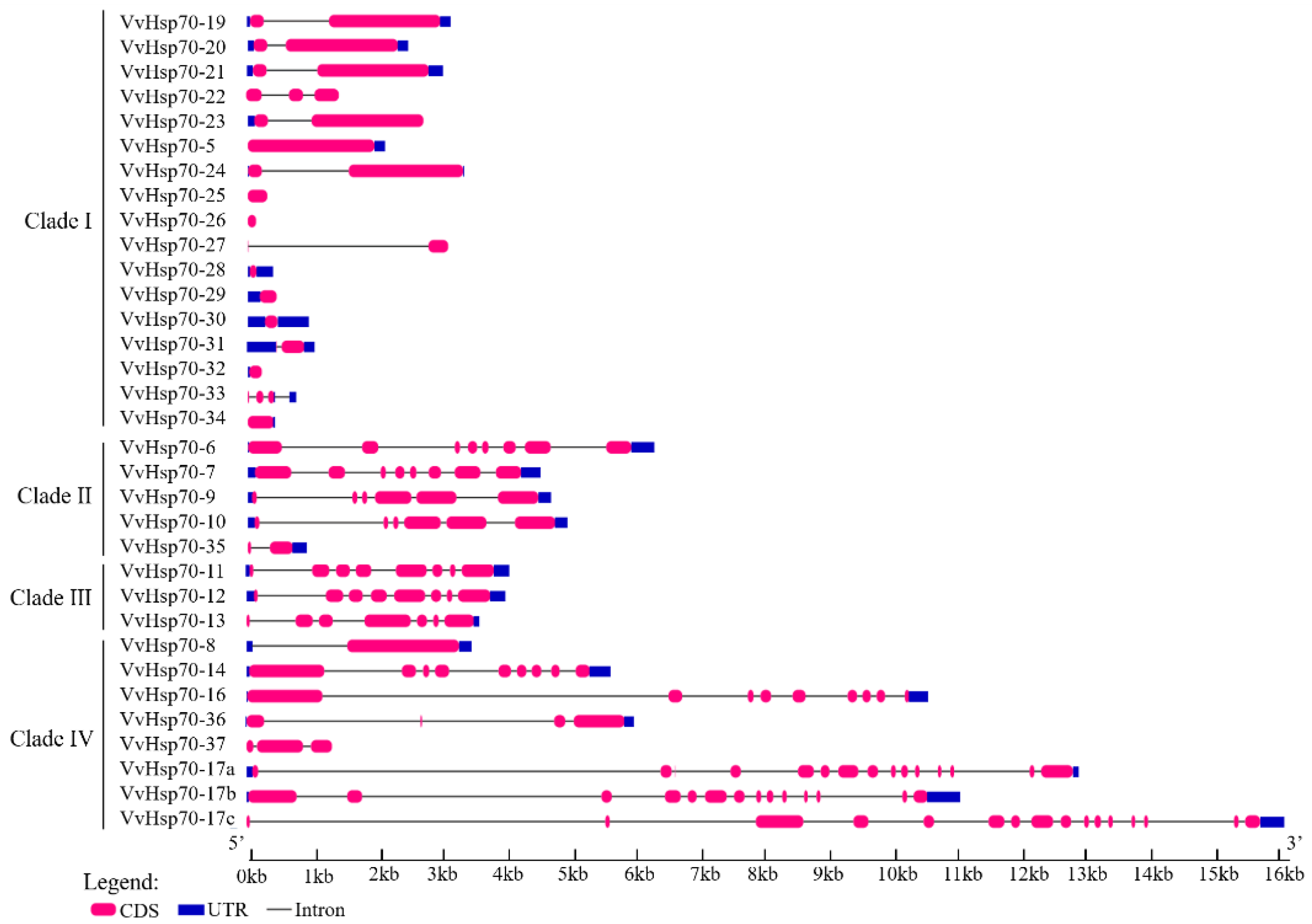 Horticulturae 08 00743 g002 550