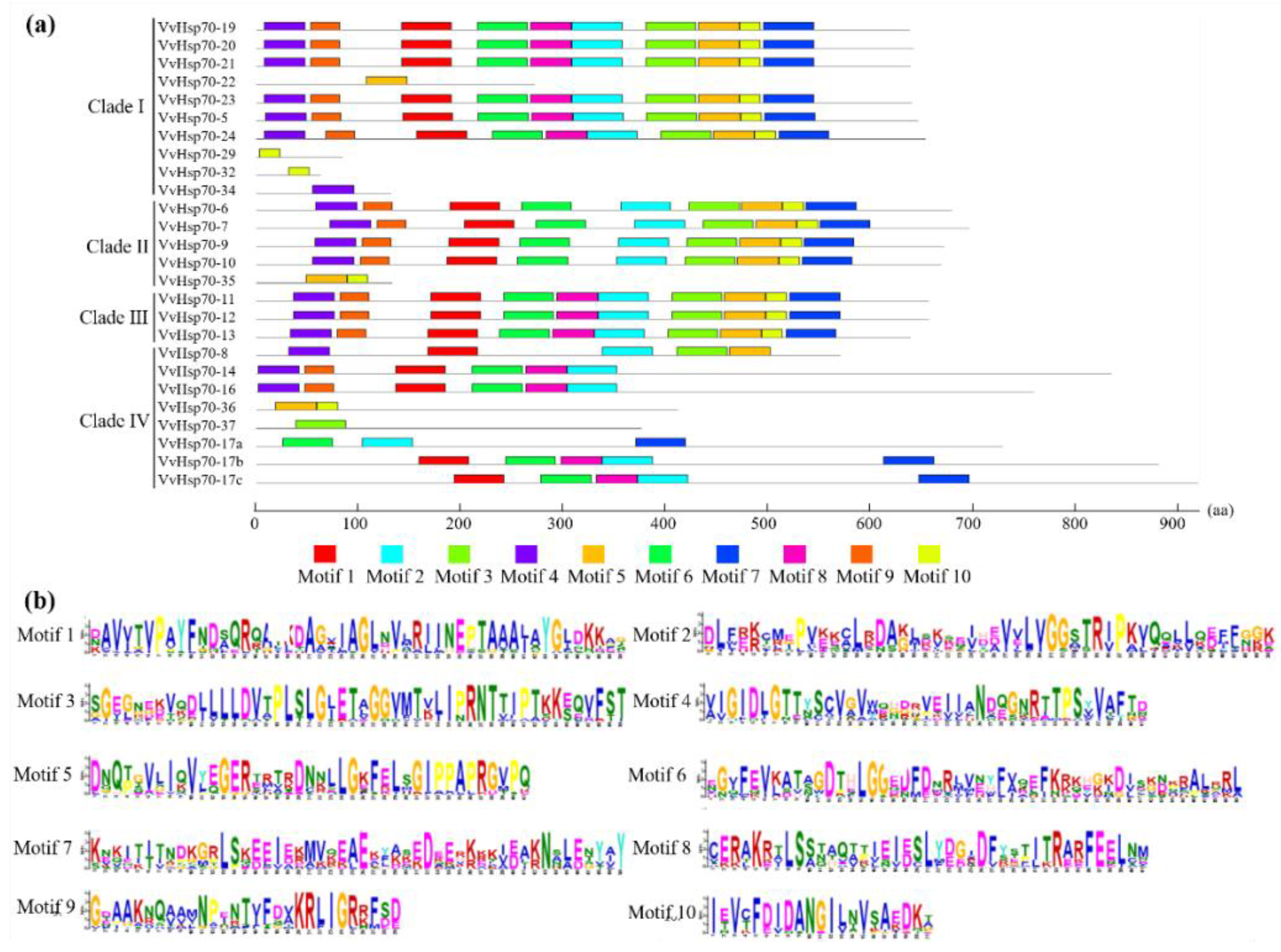 Horticulturae 08 00743 g003 550