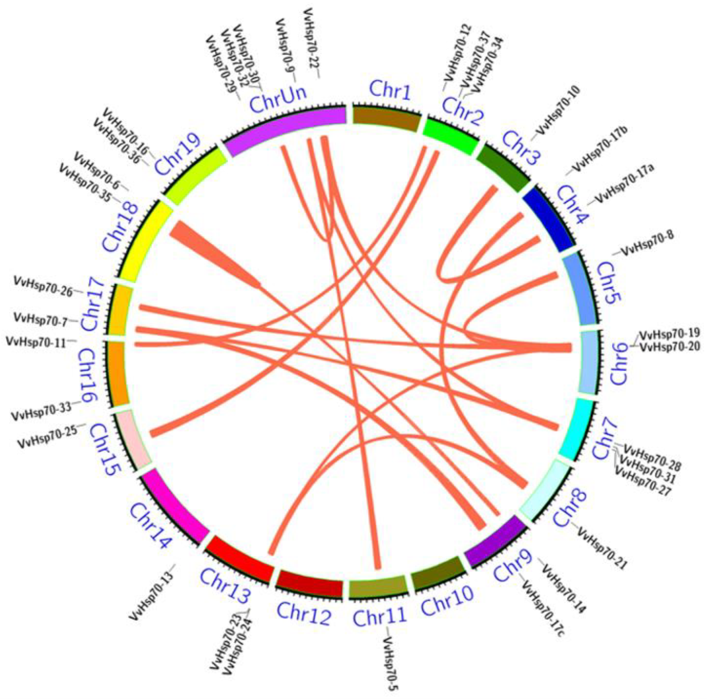 Horticulturae 08 00743 g004 550